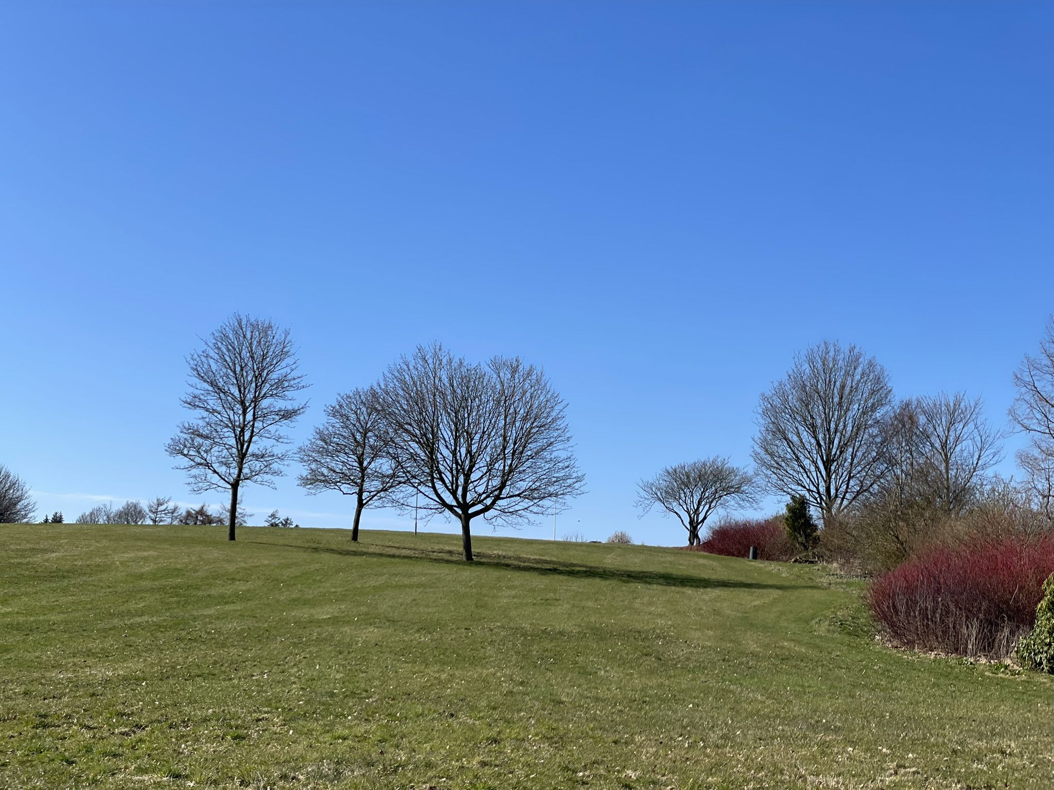 Foto fra Rismølleparken