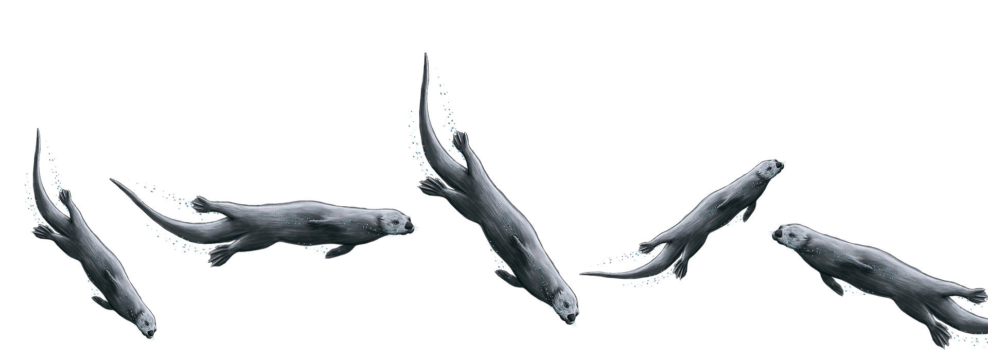 Illustration - Odderen på rutsjebanetur