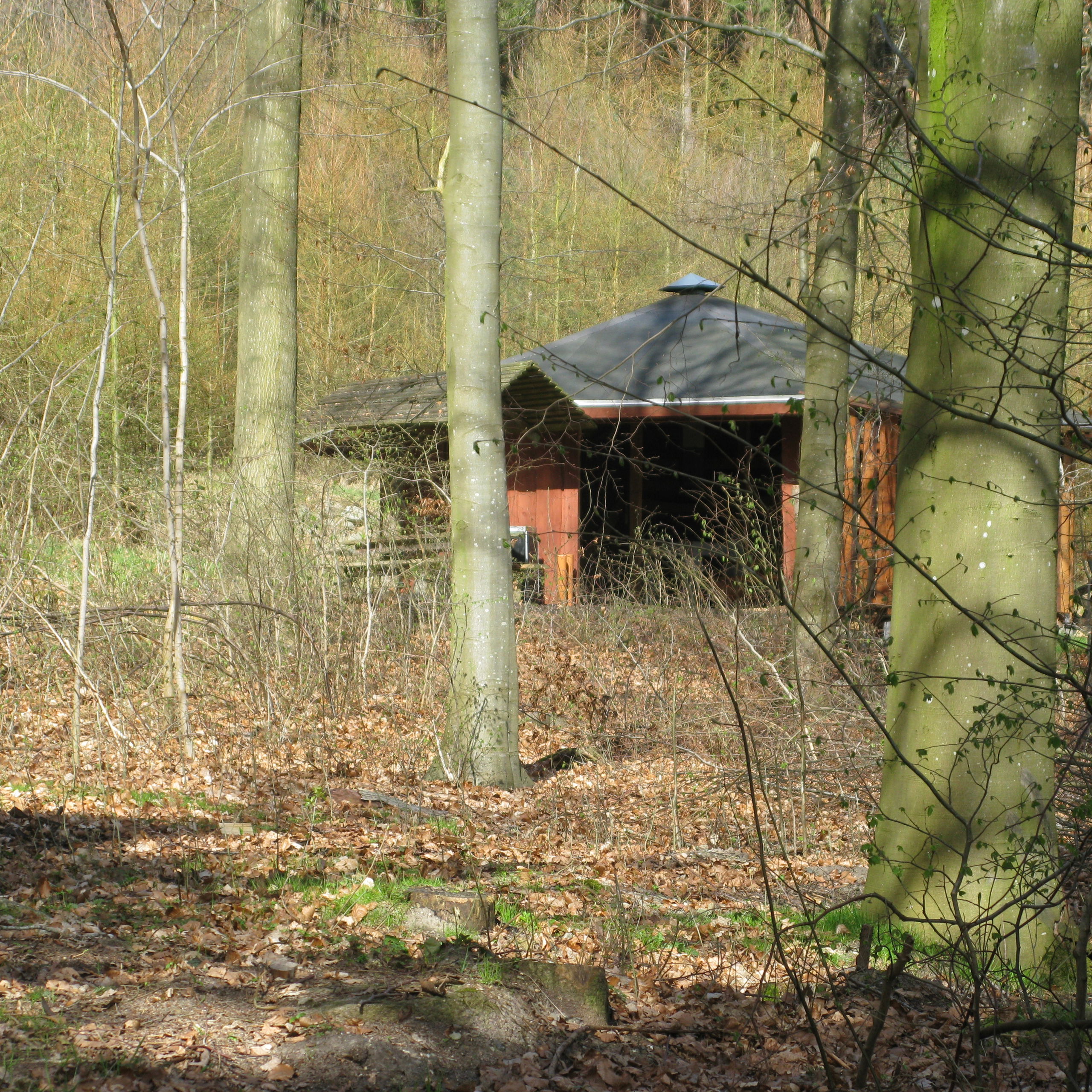 Hytte i Skov