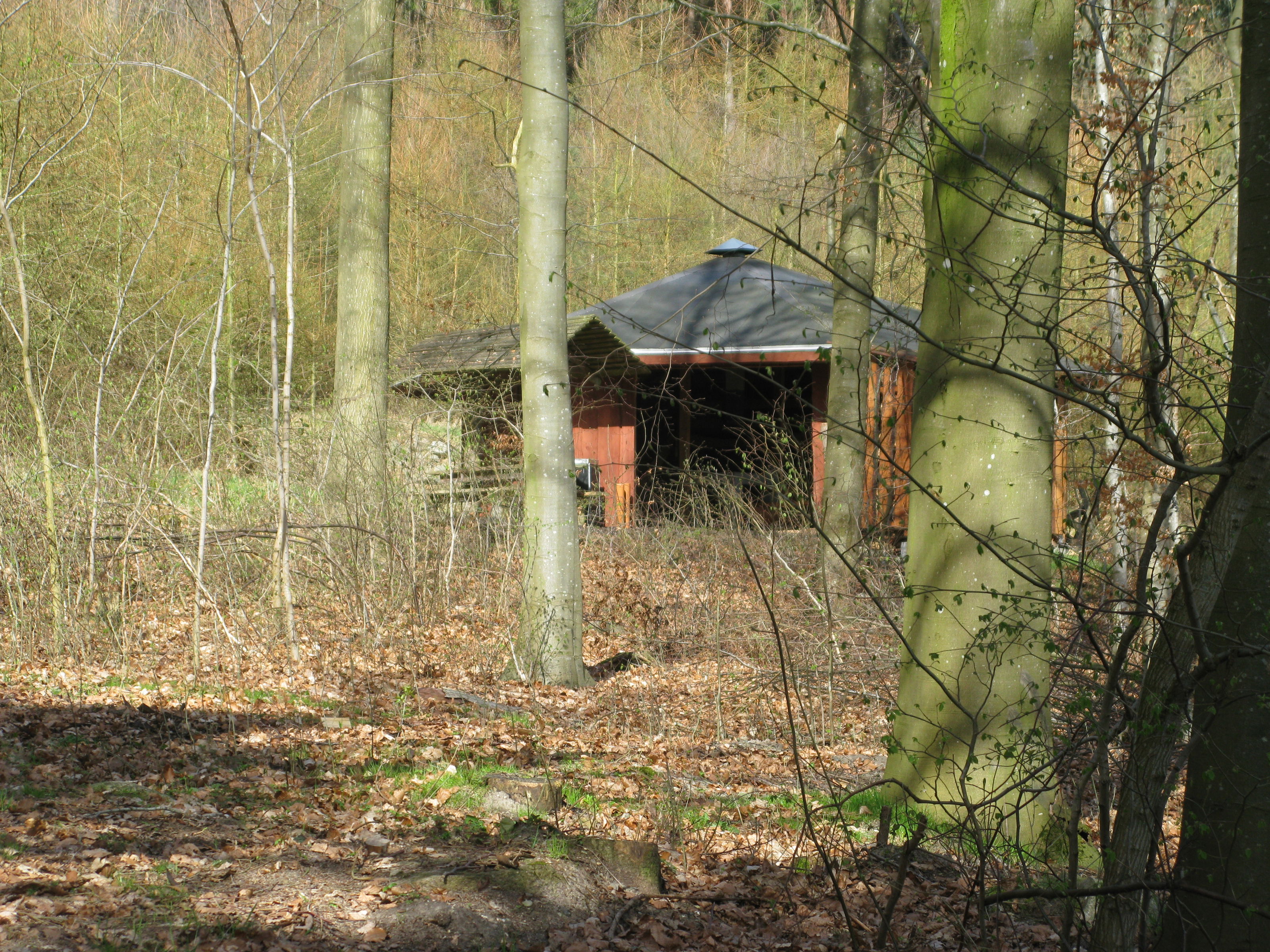 Hytte i Skov