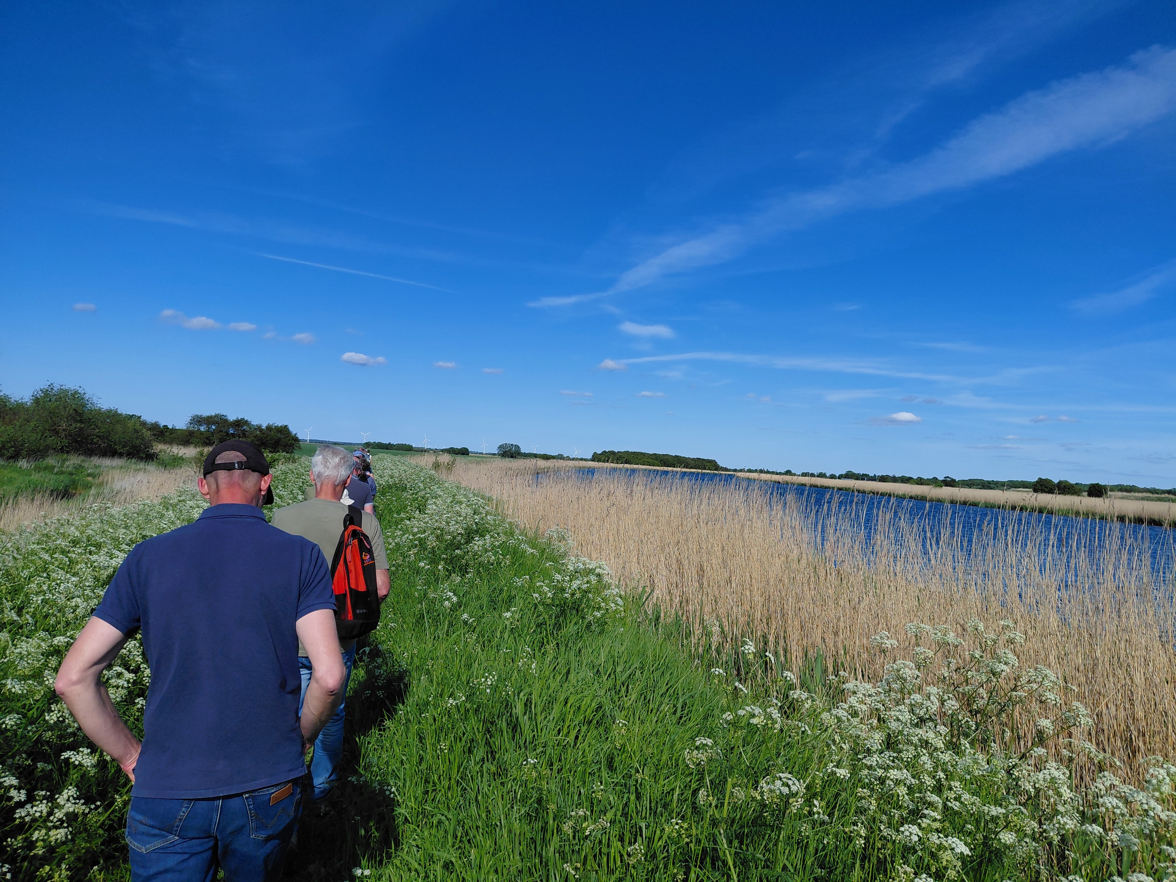Vandrere går på Randers Fjord Stien langs vandet
