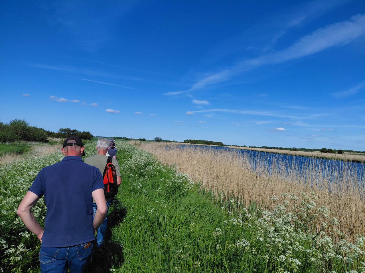 Vandrere går på Randers Fjord Stien langs vandet