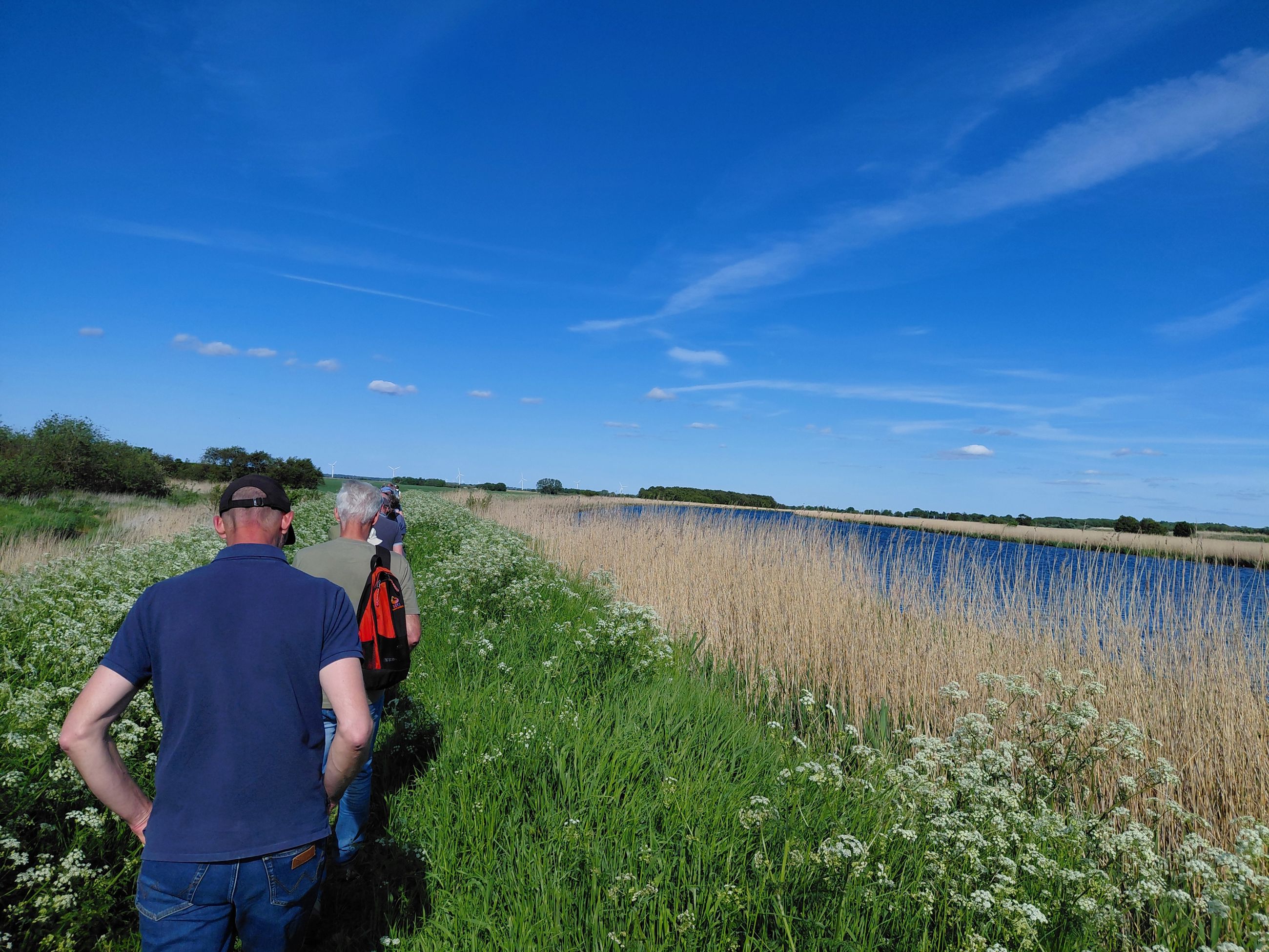 Vandrere går på Randers Fjord Stien langs vandet