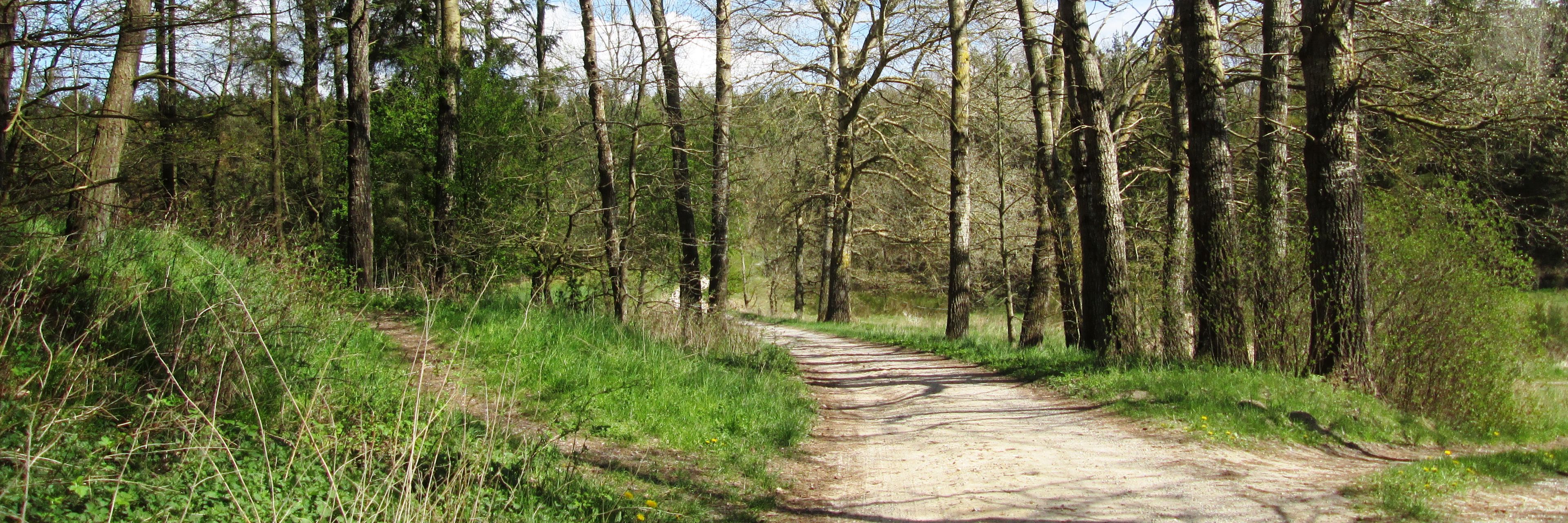 Natur ved Drastrup