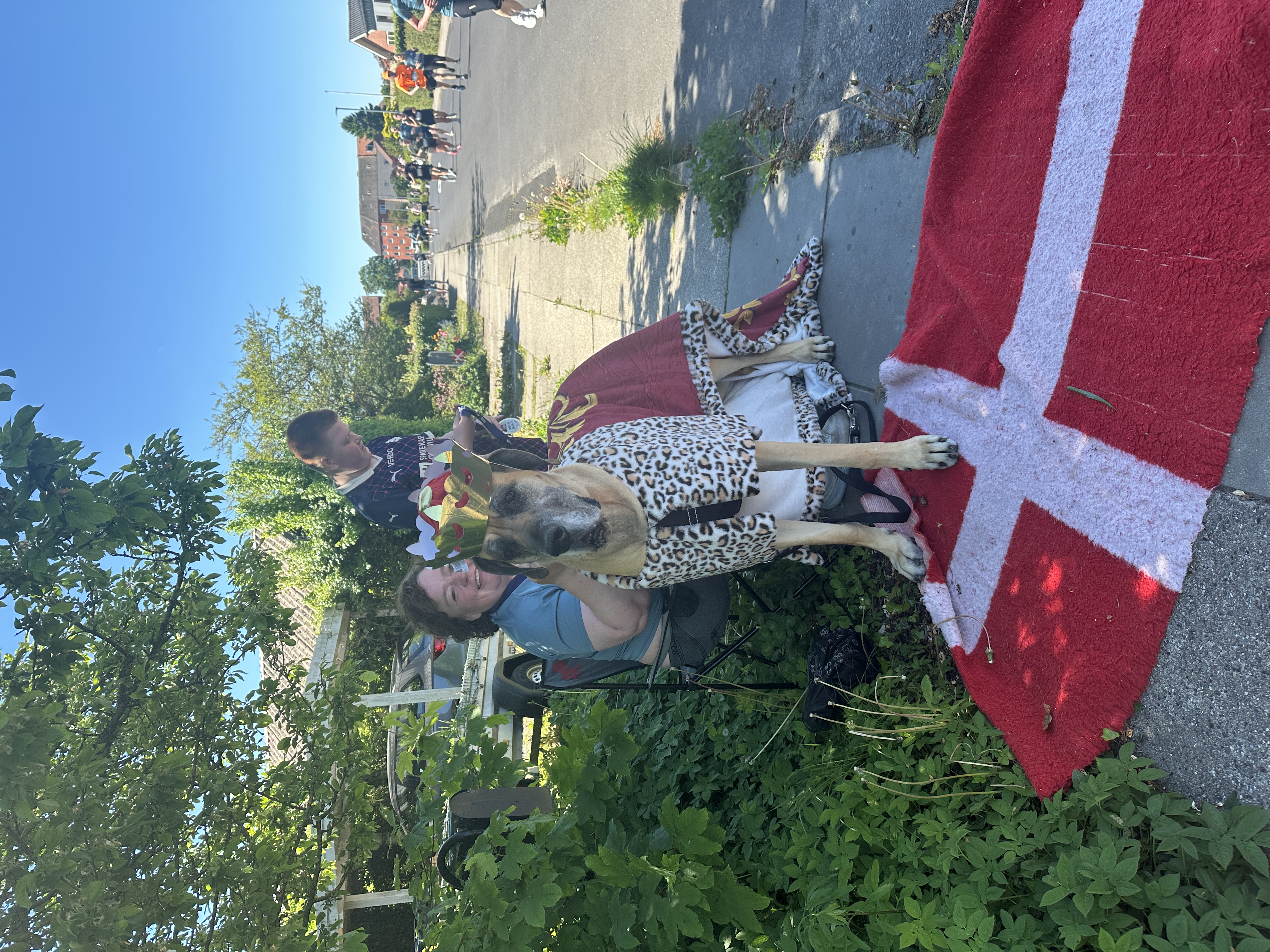 Udklædt hund og tilskuere på 10 km-ruten