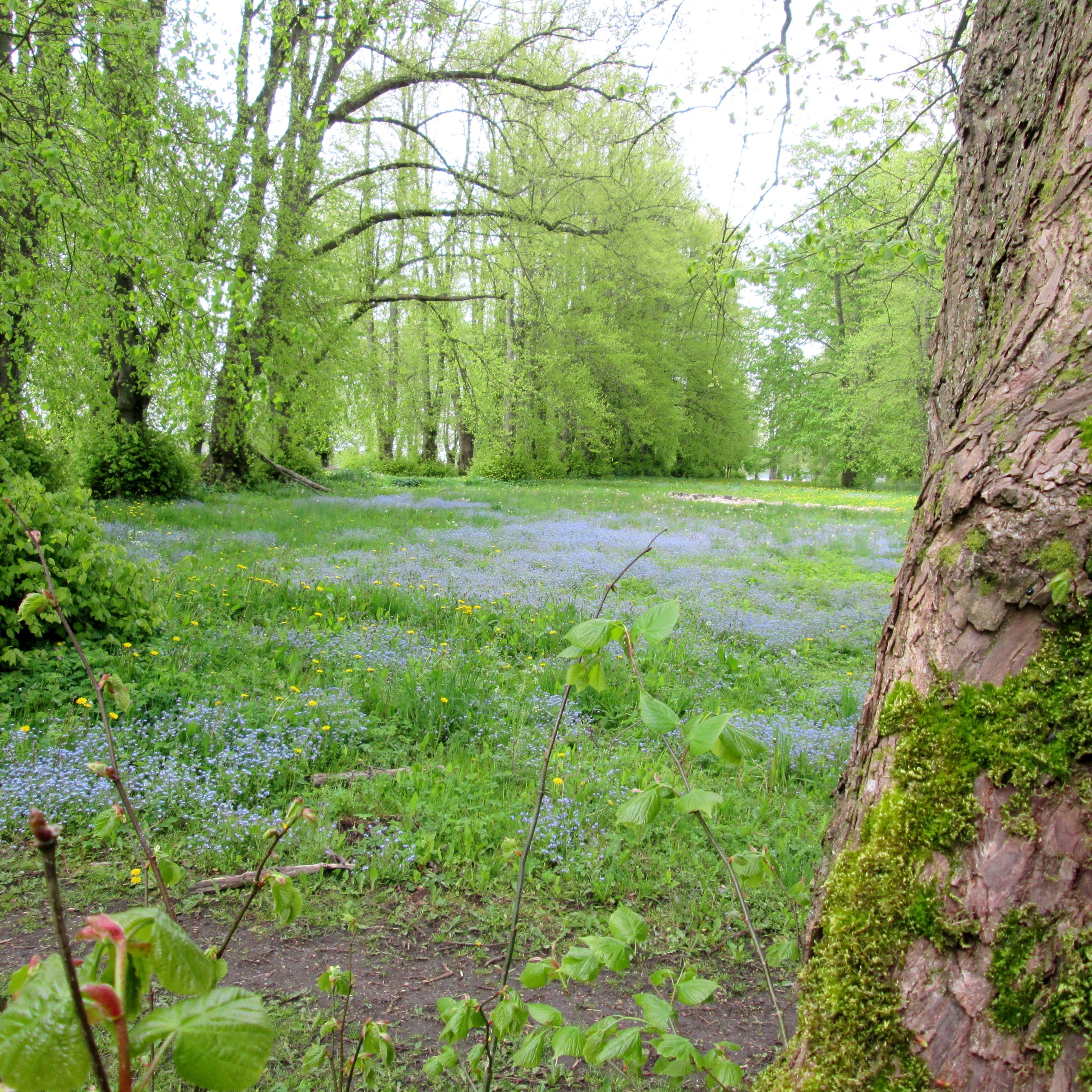 Eng ved Fussing Sø og Gammelhave