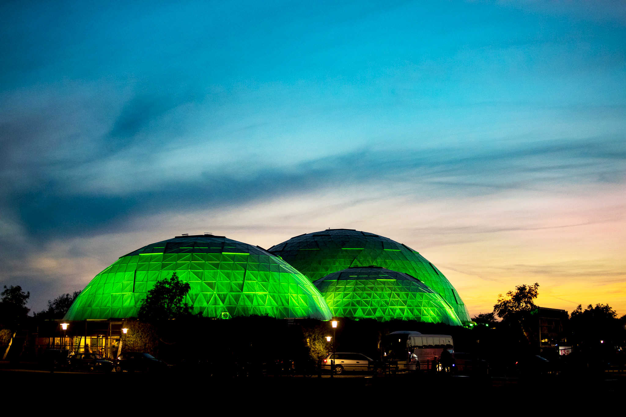 Royal Side Run med Randers Regnskov