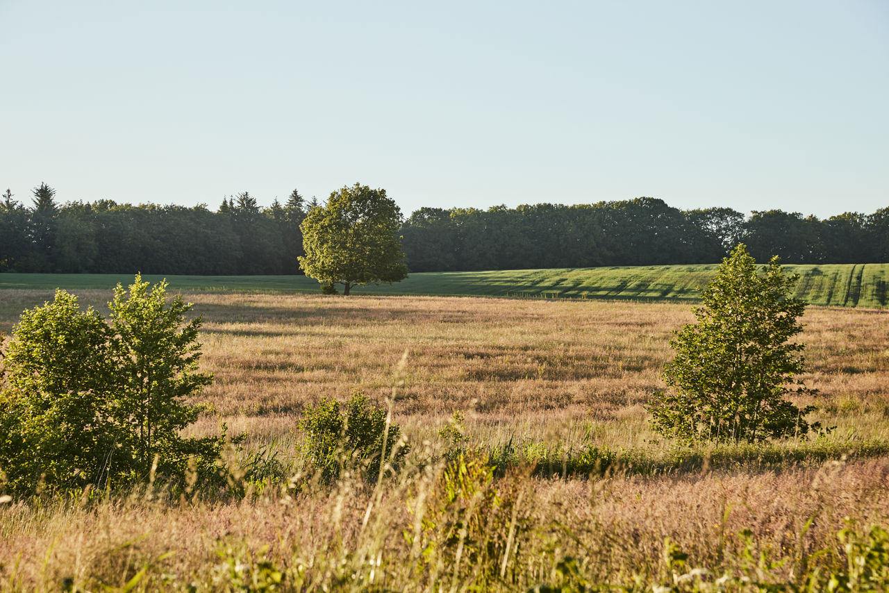 Marker ved Fussingø