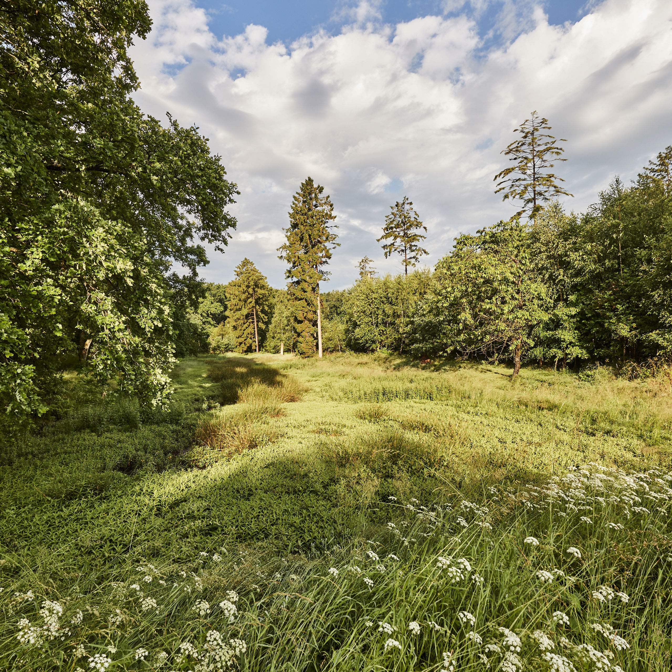 Christian III's Kanal