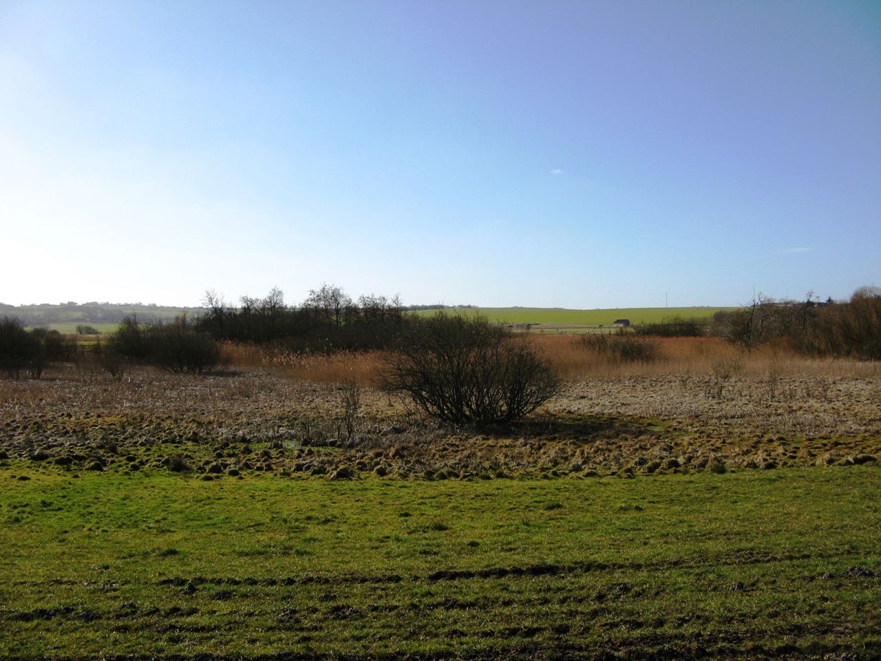 Området ved Gjerlev Kær