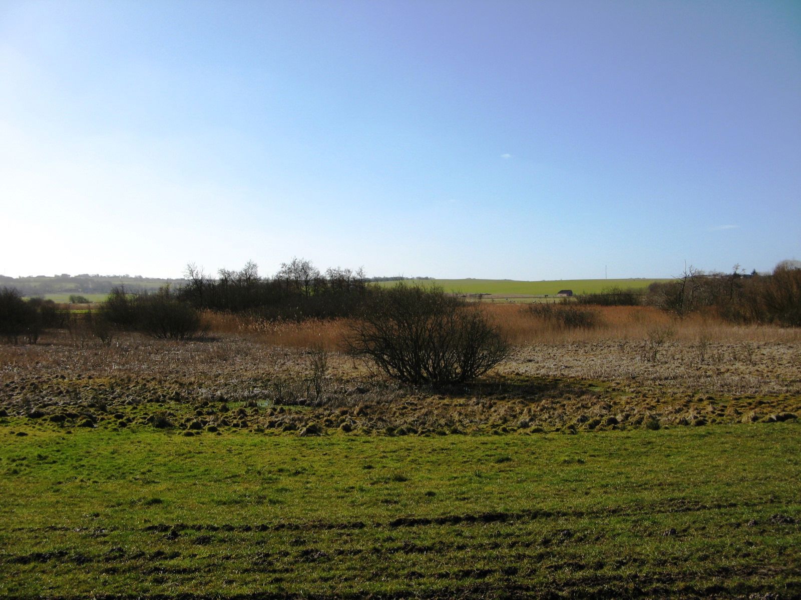 Området ved Gjerlev Kær