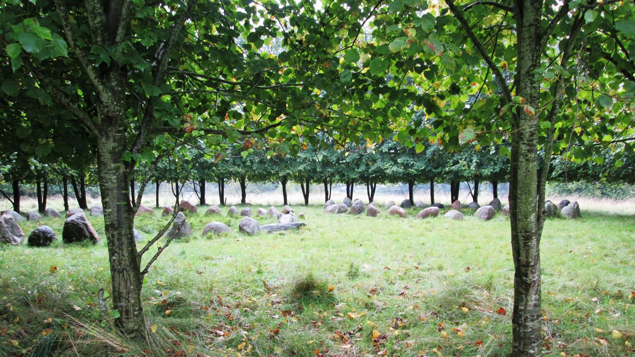Rundkreds på Krakamarken