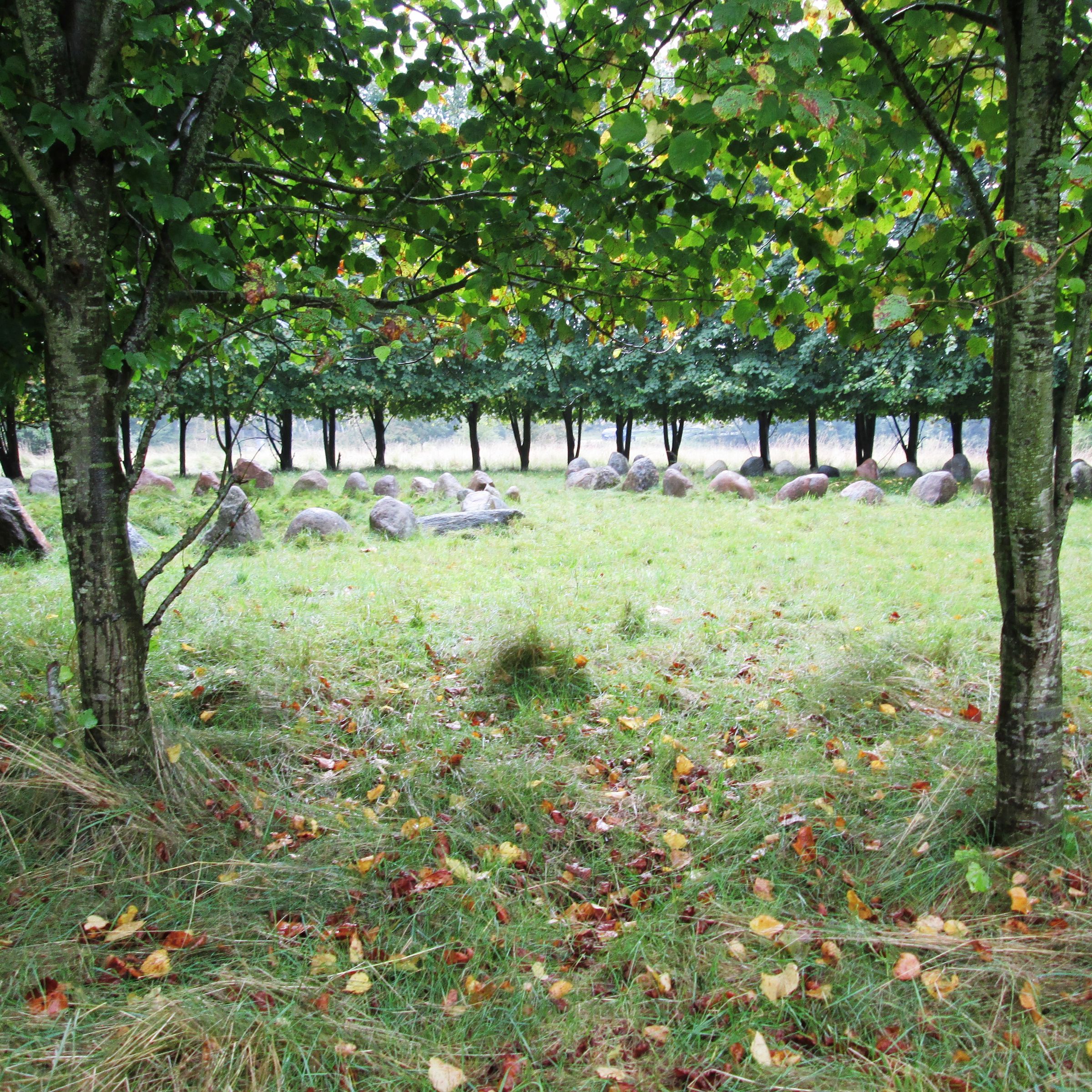 Rundkreds på Krakamarken