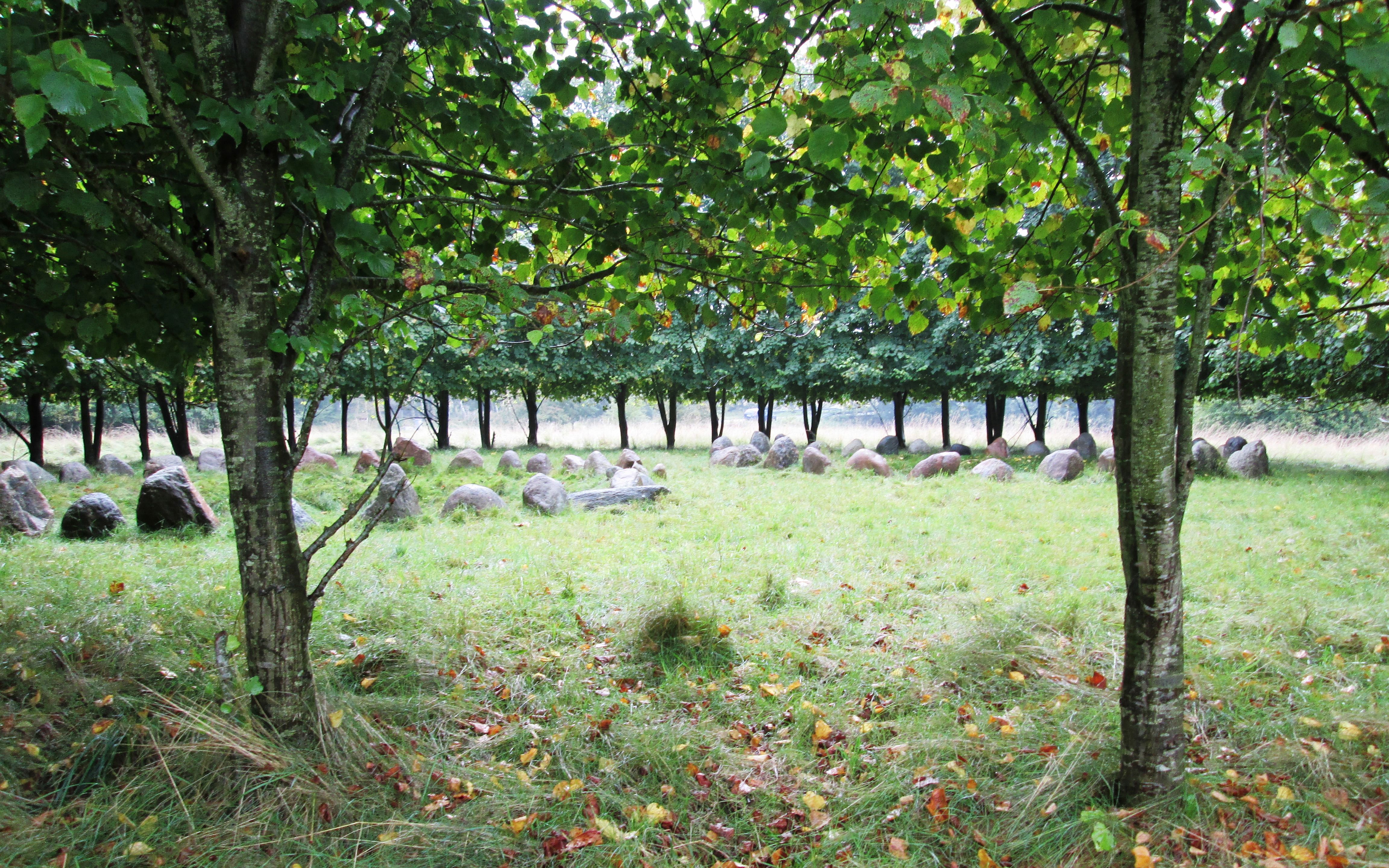 Rundkreds på Krakamarken