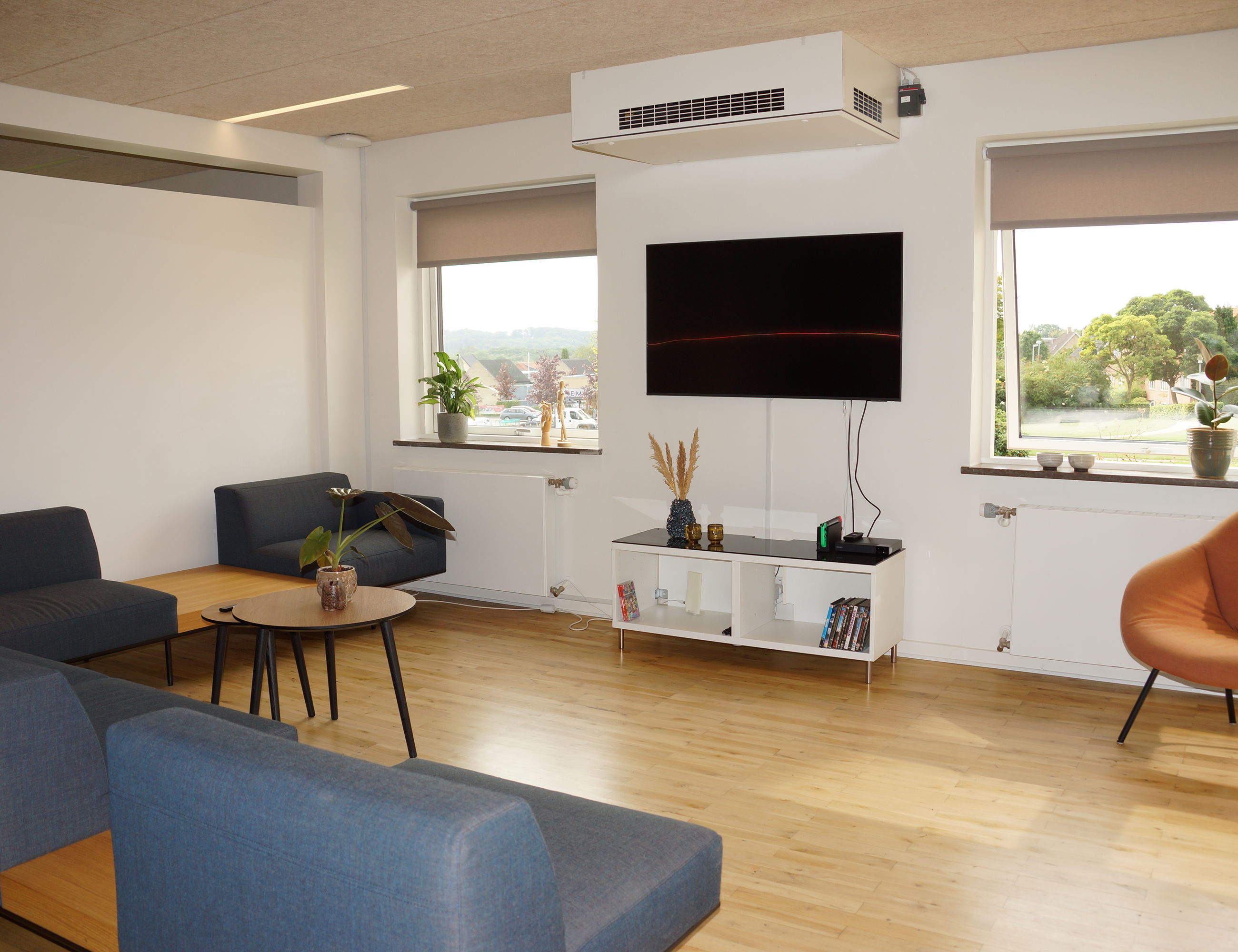 Fælles opholdsrum med sofa og tv i Botilbuddet Bredgade & Svalegangen