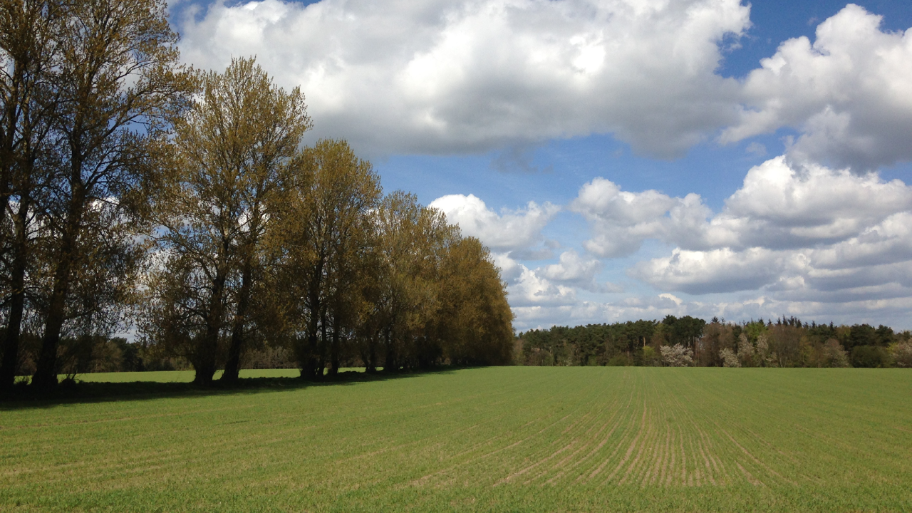 Naturområde