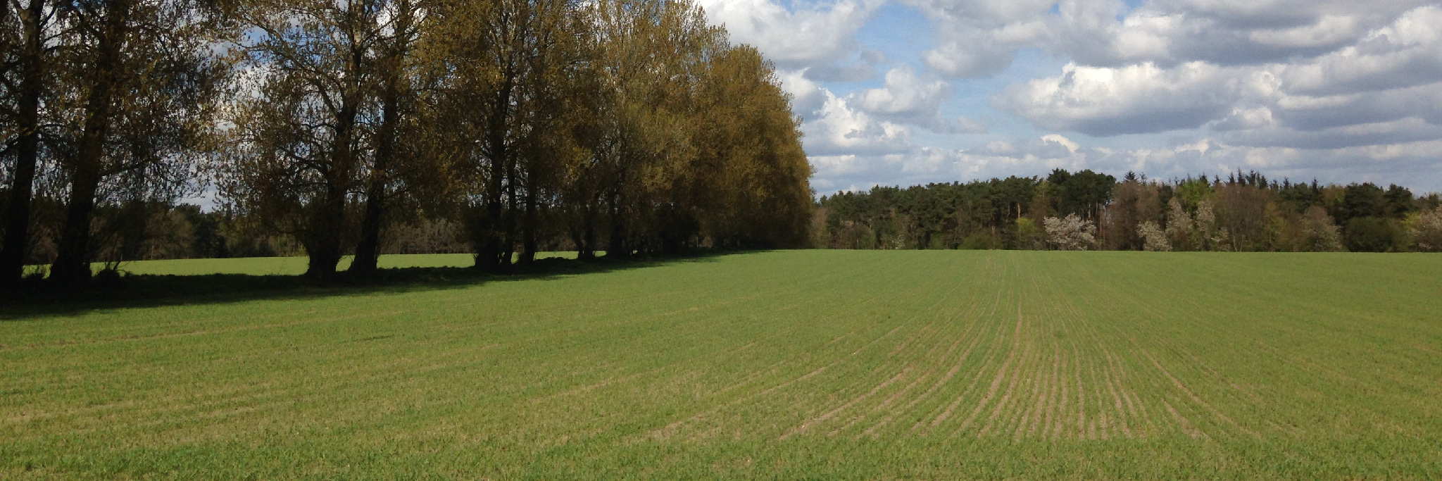 Naturområde