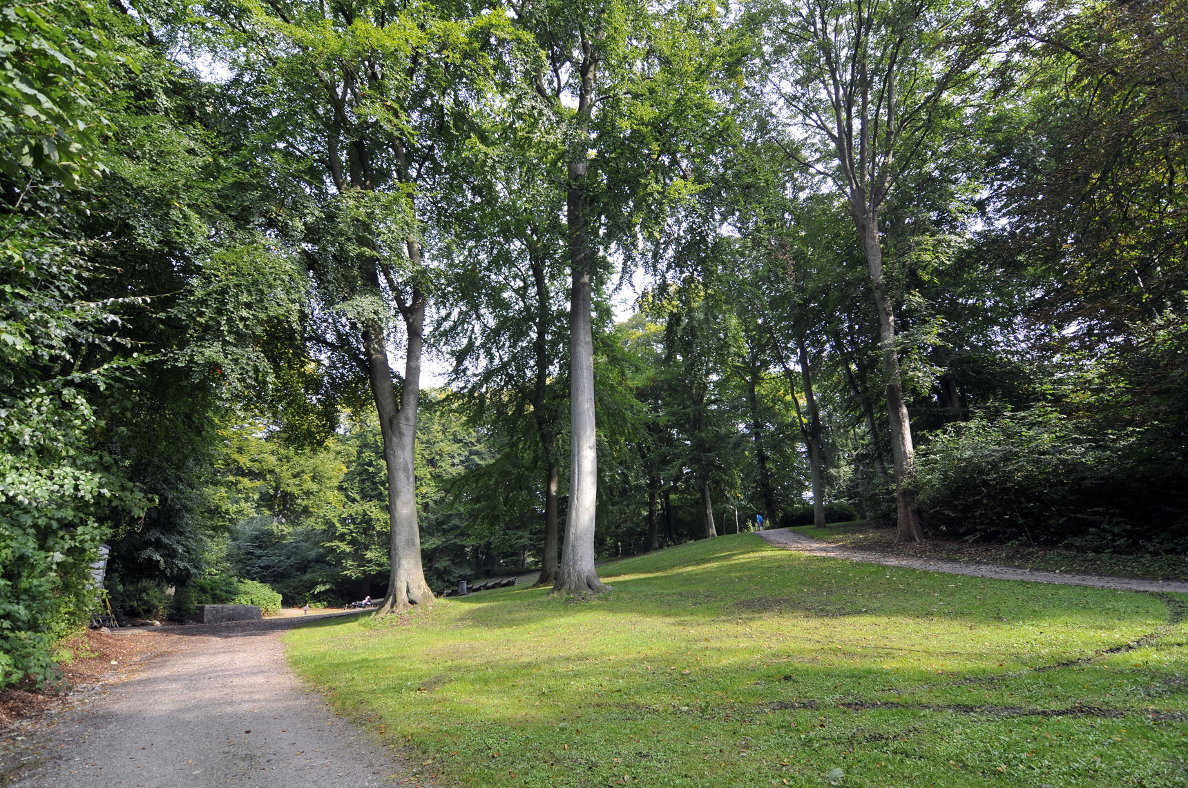 Skovbakken