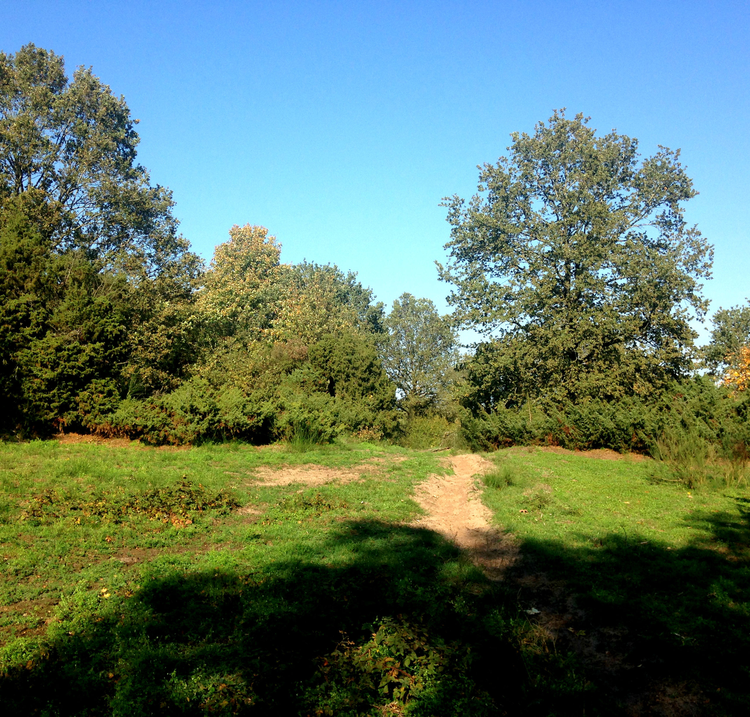 Vandretur i Fløjstrup Bakker