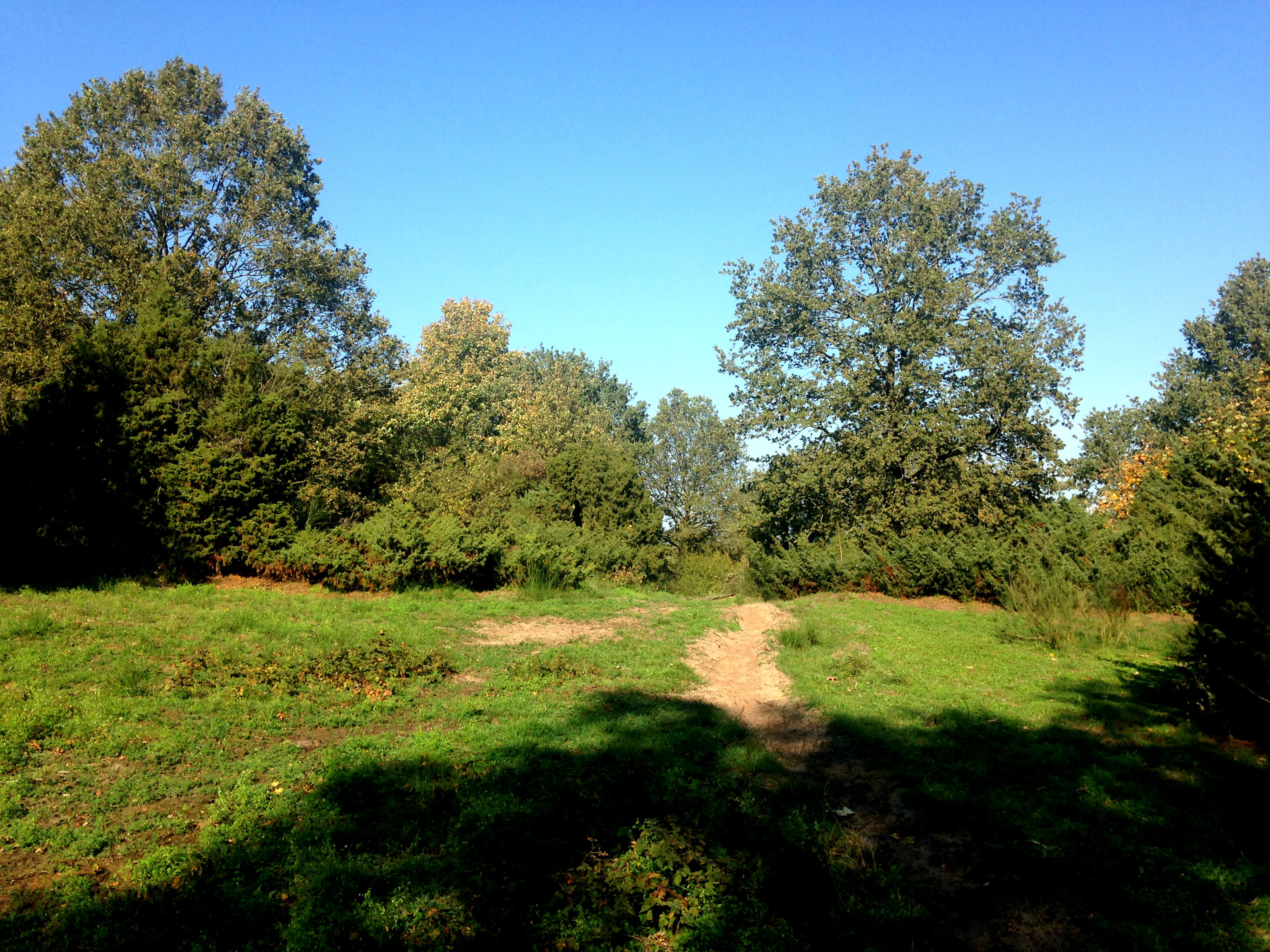 Vandretur i Fløjstrup Bakker