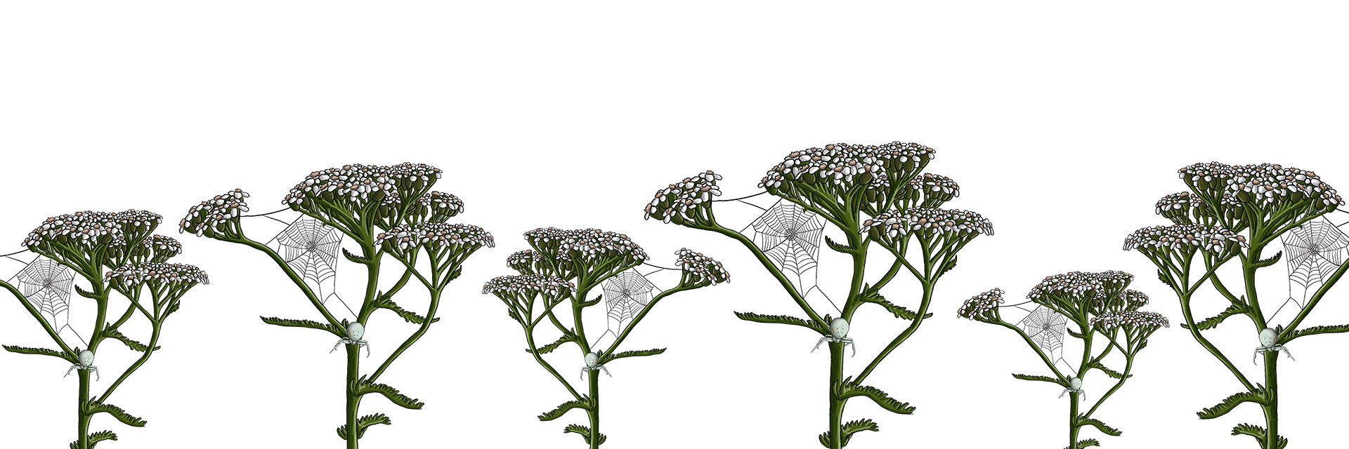 Illustration "Farlig gemmeleg"