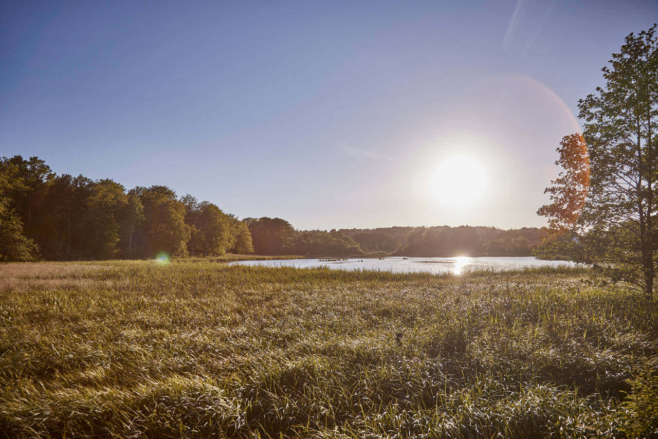 Mark og sø ved Fussingø