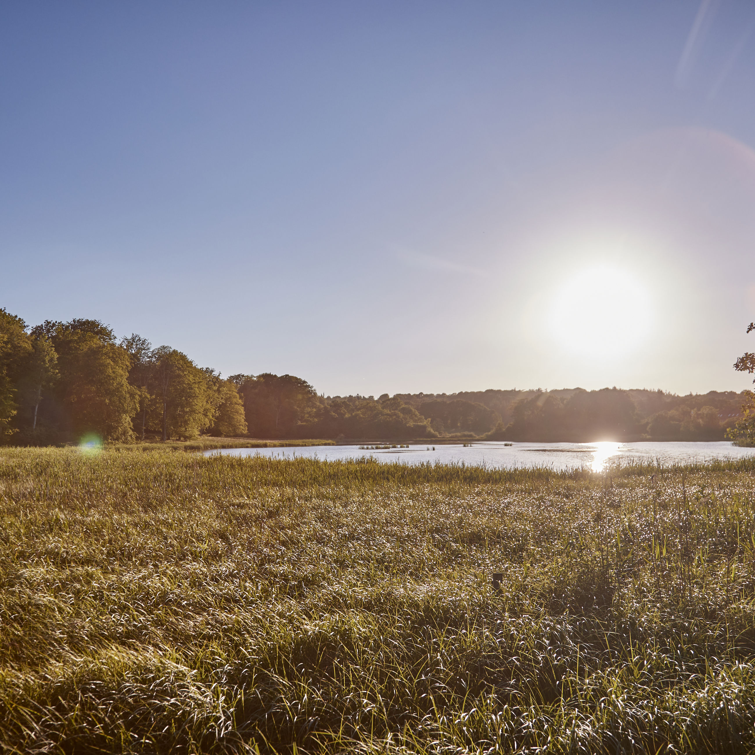 Mark og sø ved Fussingø