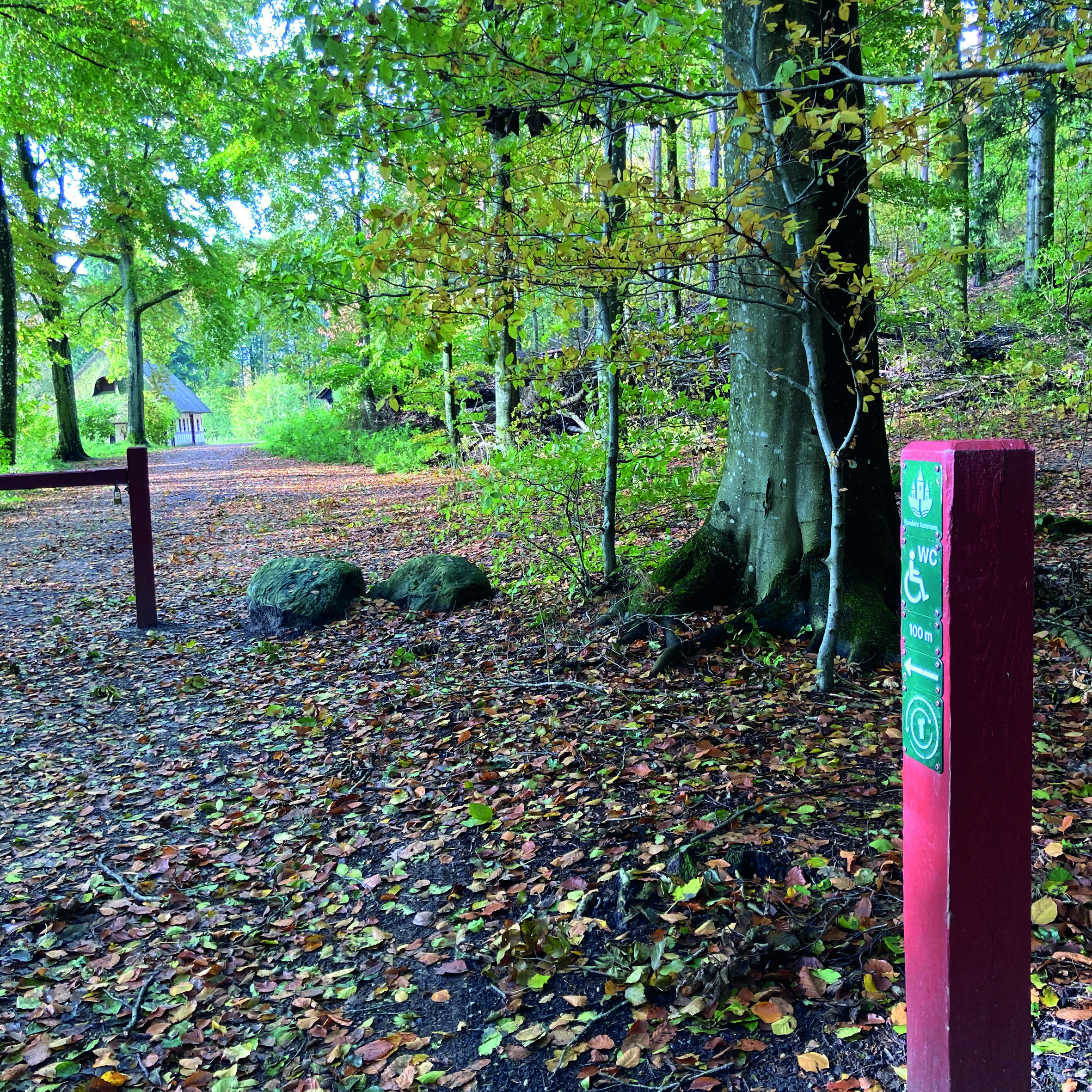 Nedslag og QR-kode på Tidsrejsen i Fladbro Skov