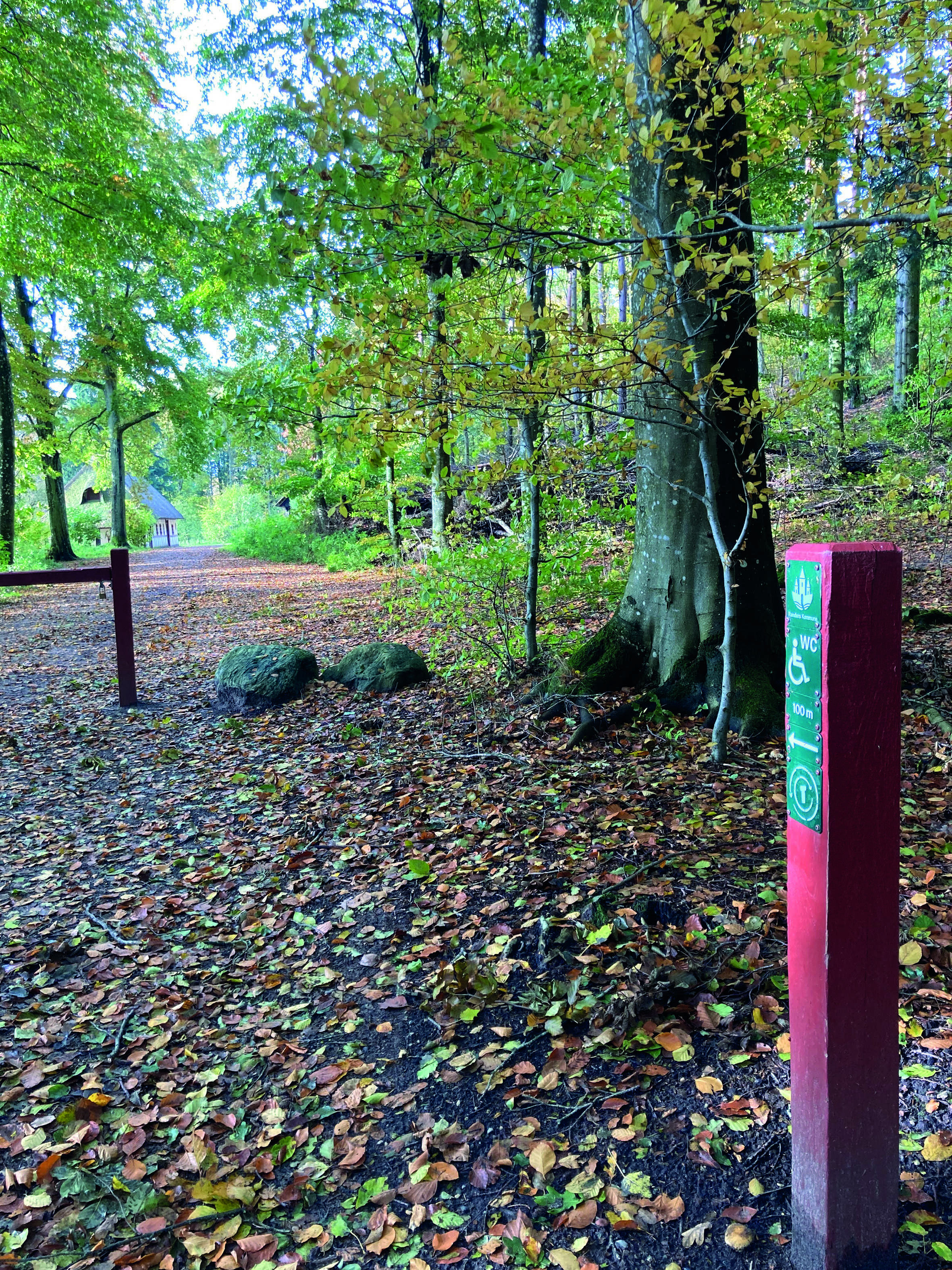 Nedslag og QR-kode på Tidsrejsen i Fladbro Skov