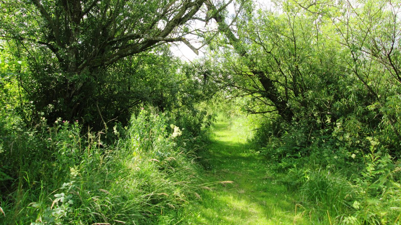 Gudenåparken