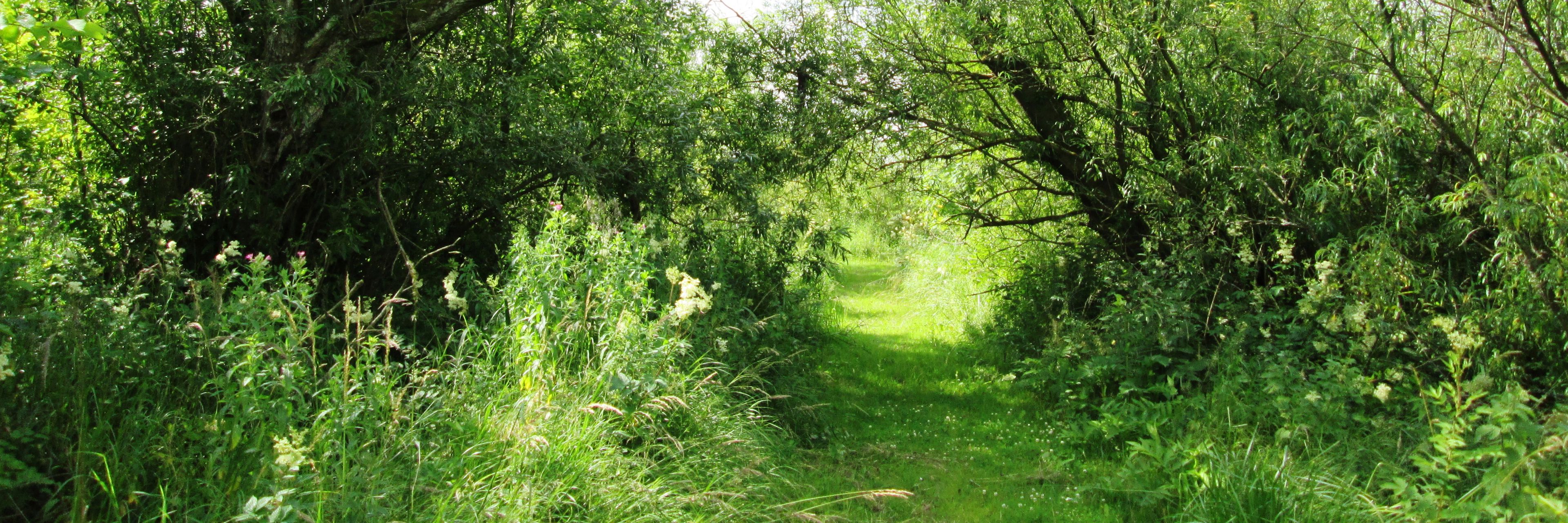 Gudenåparken
