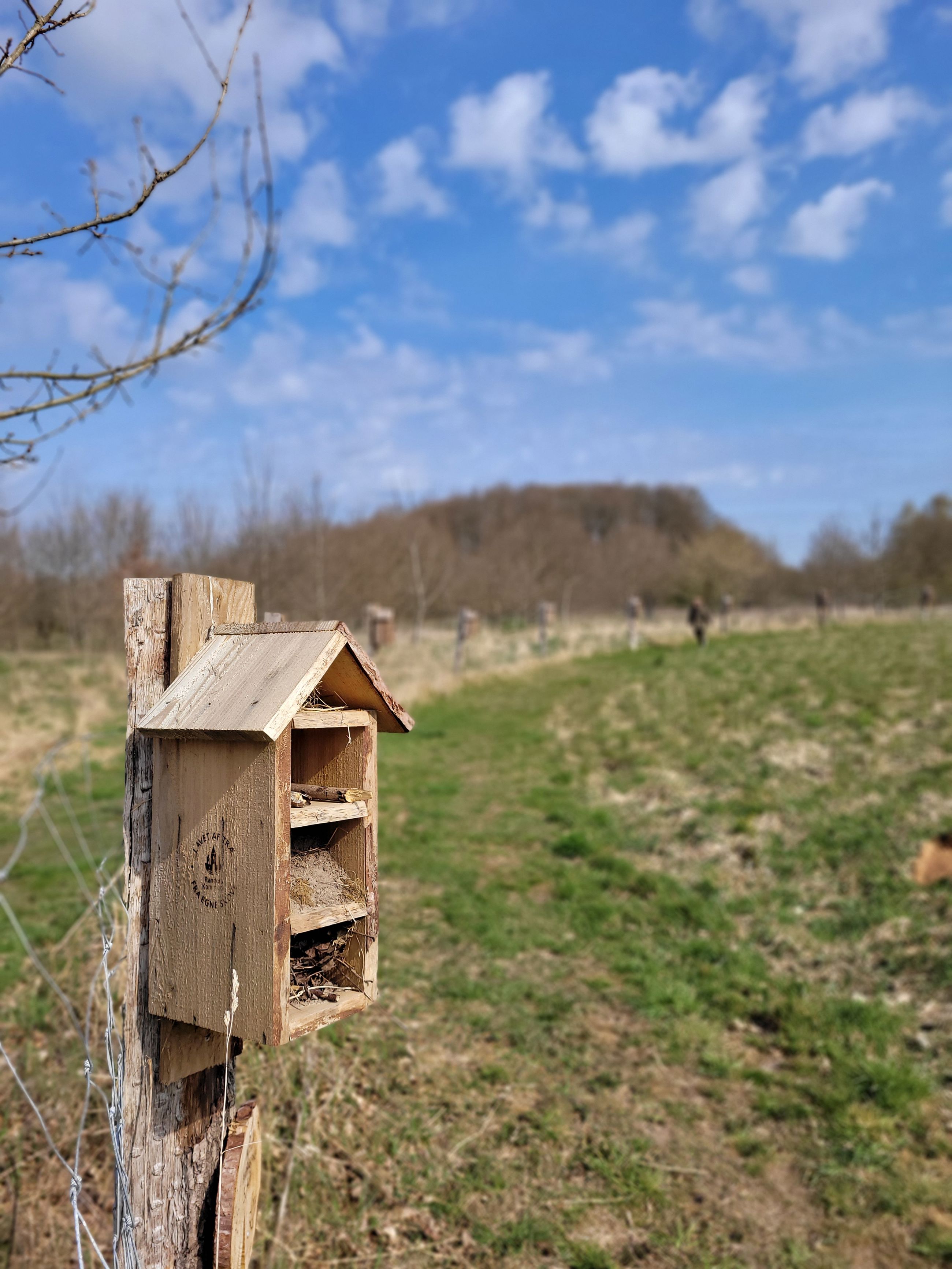 Fuglehus i Verdensskoven