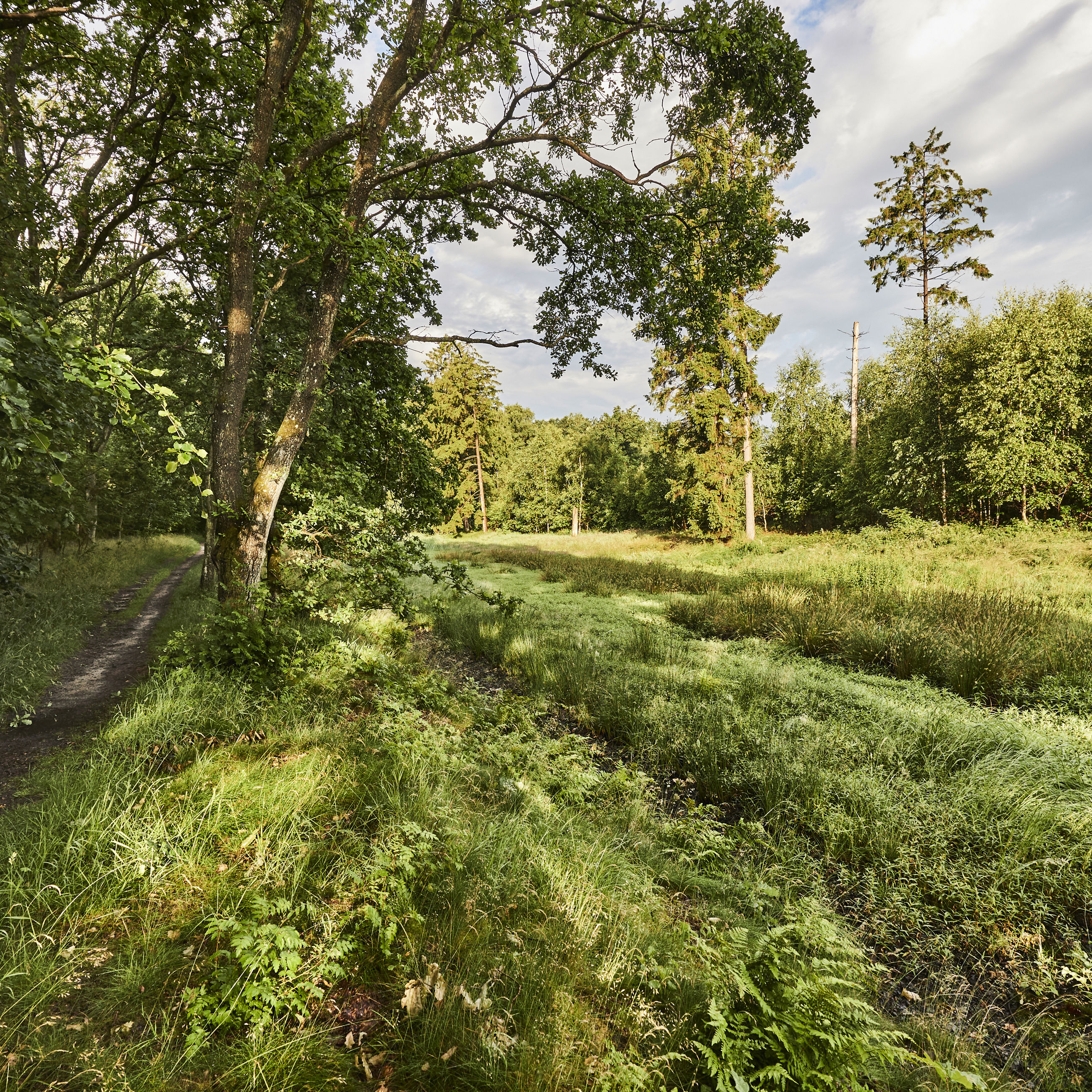 Christian III's Kanal