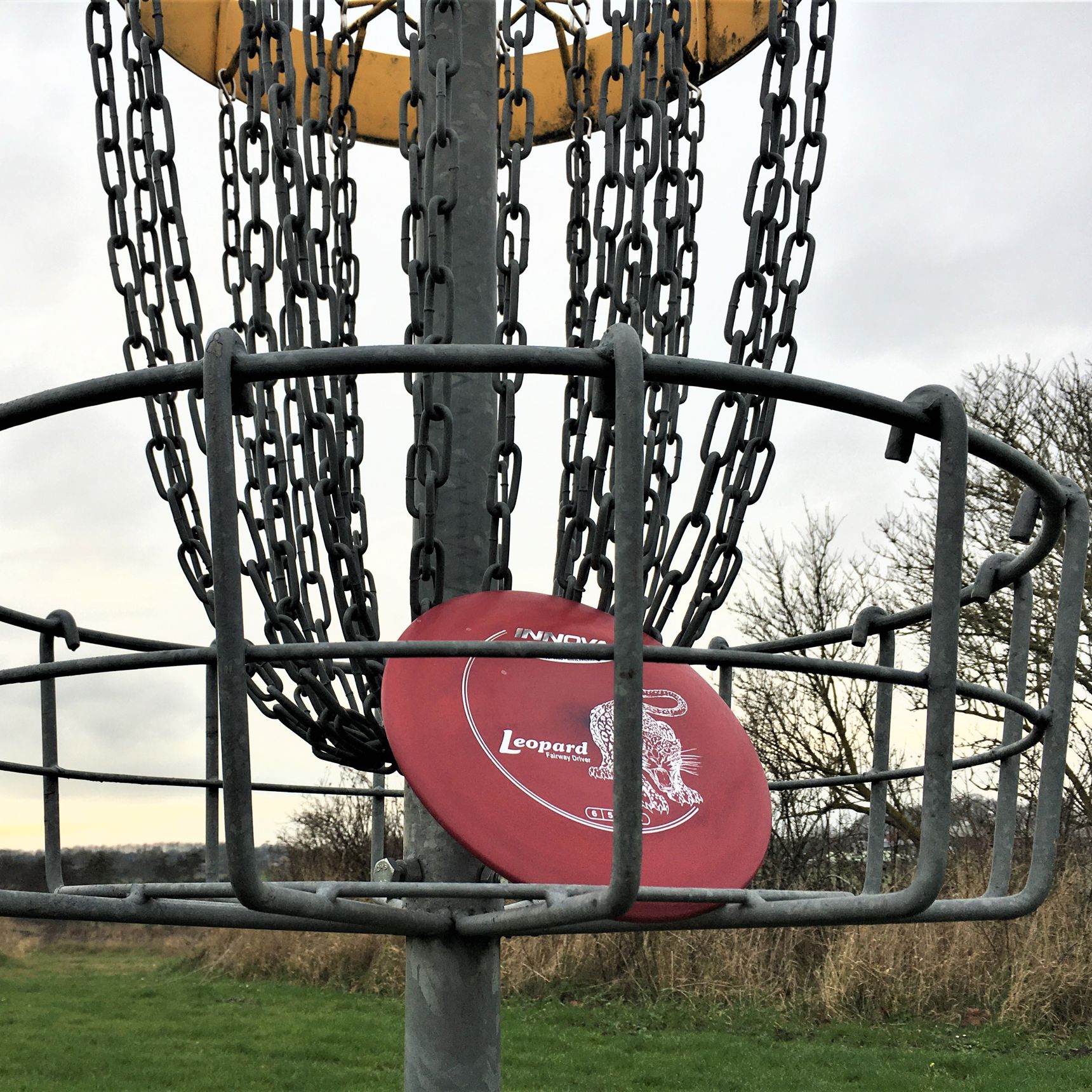 Discgolf