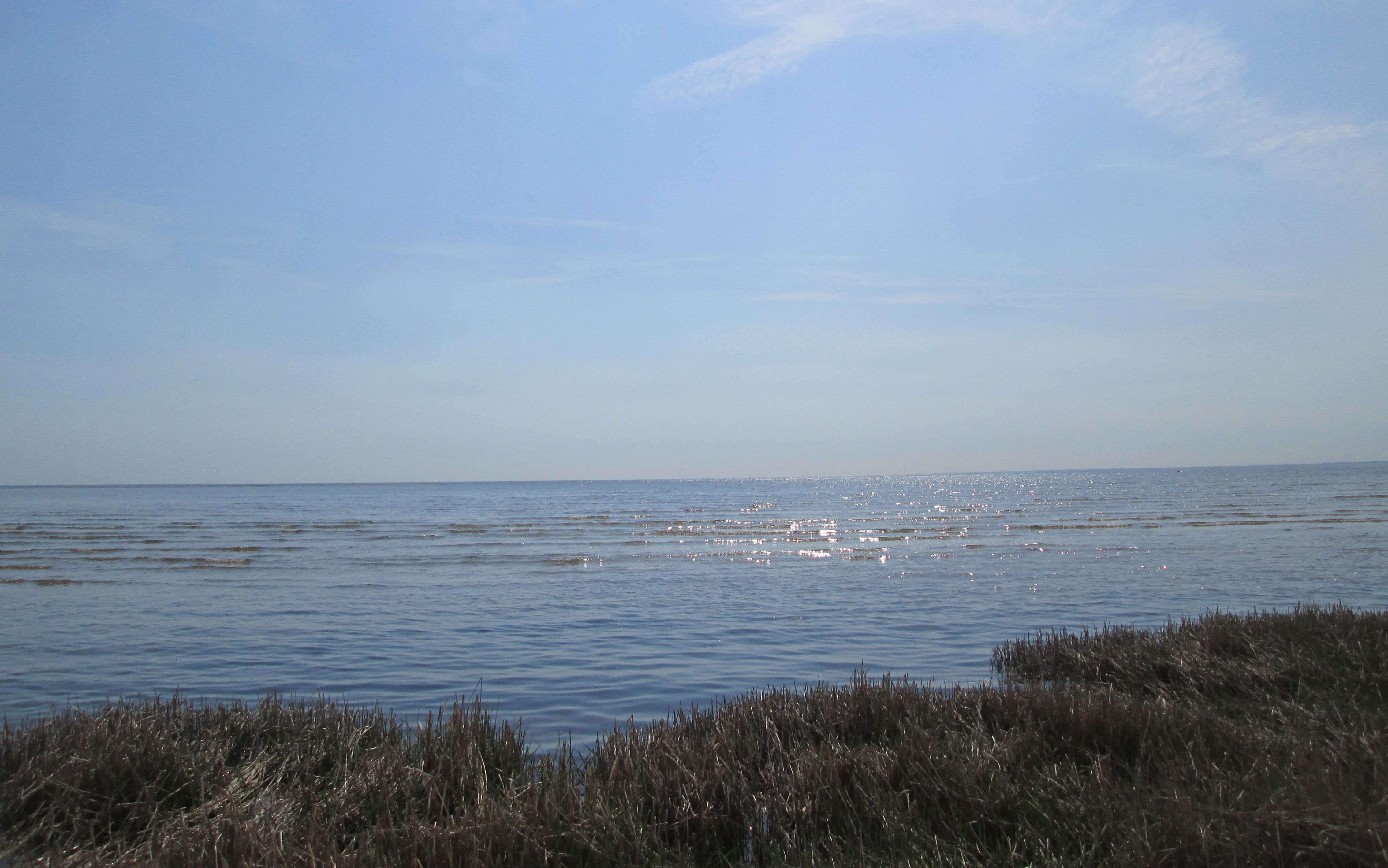 Strandengen og Kattegat