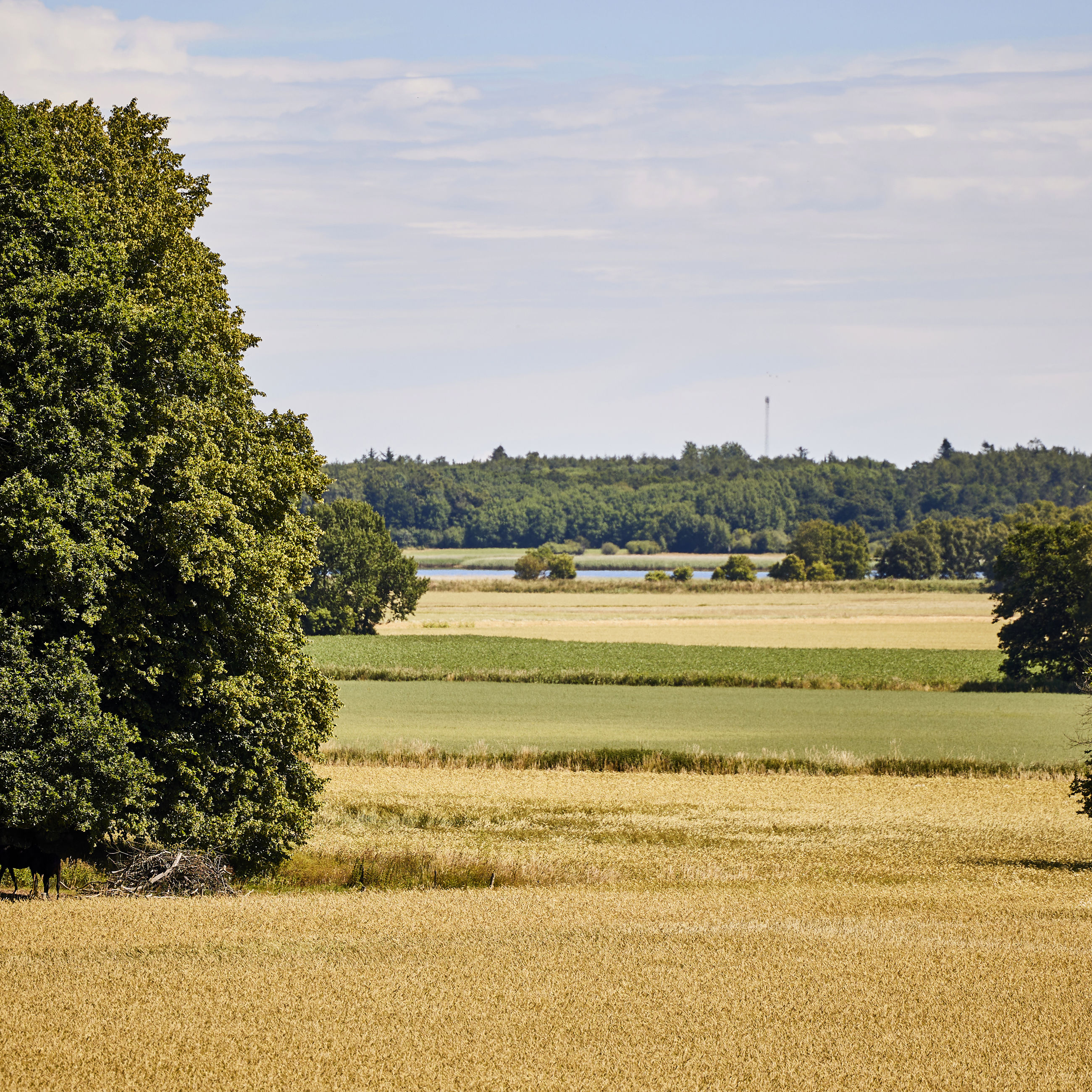 Dødislandskabet ved Støvring