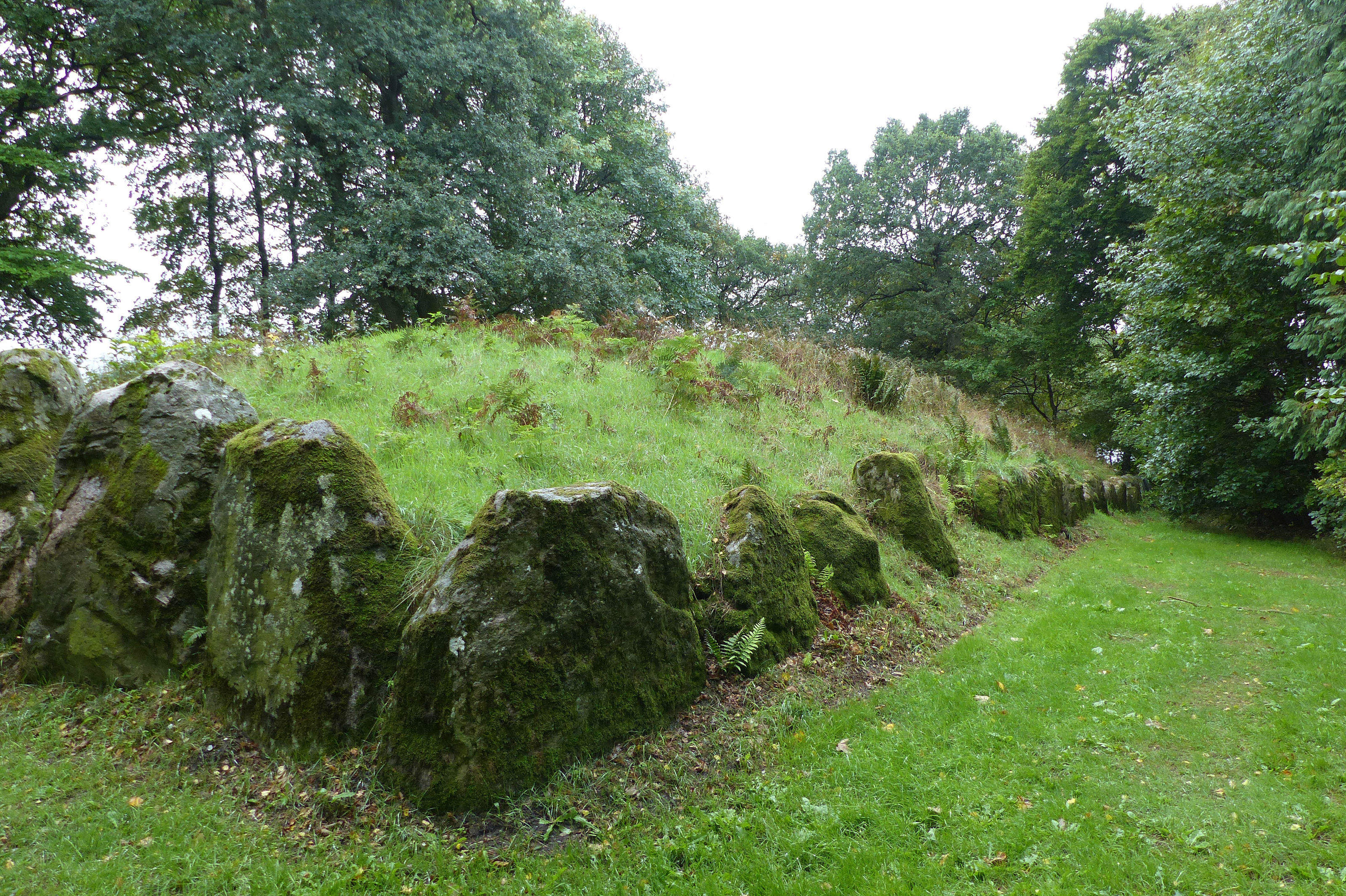 Kongehøjen