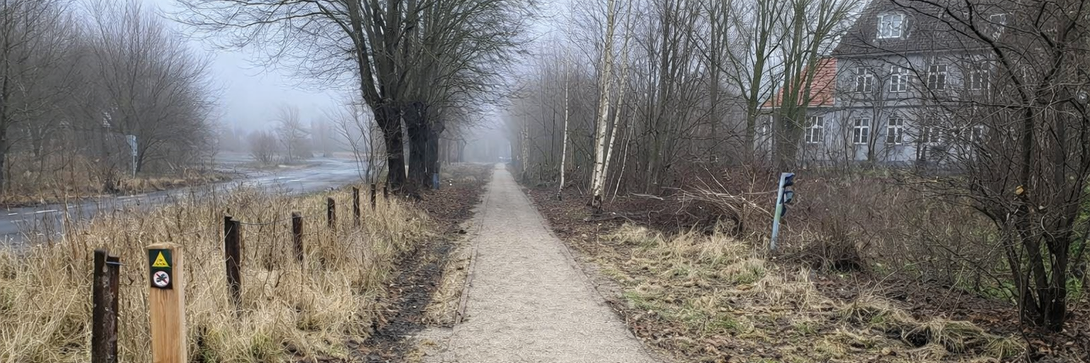 Sporet ved Tronholmen, Skovholmen og Strømmen
