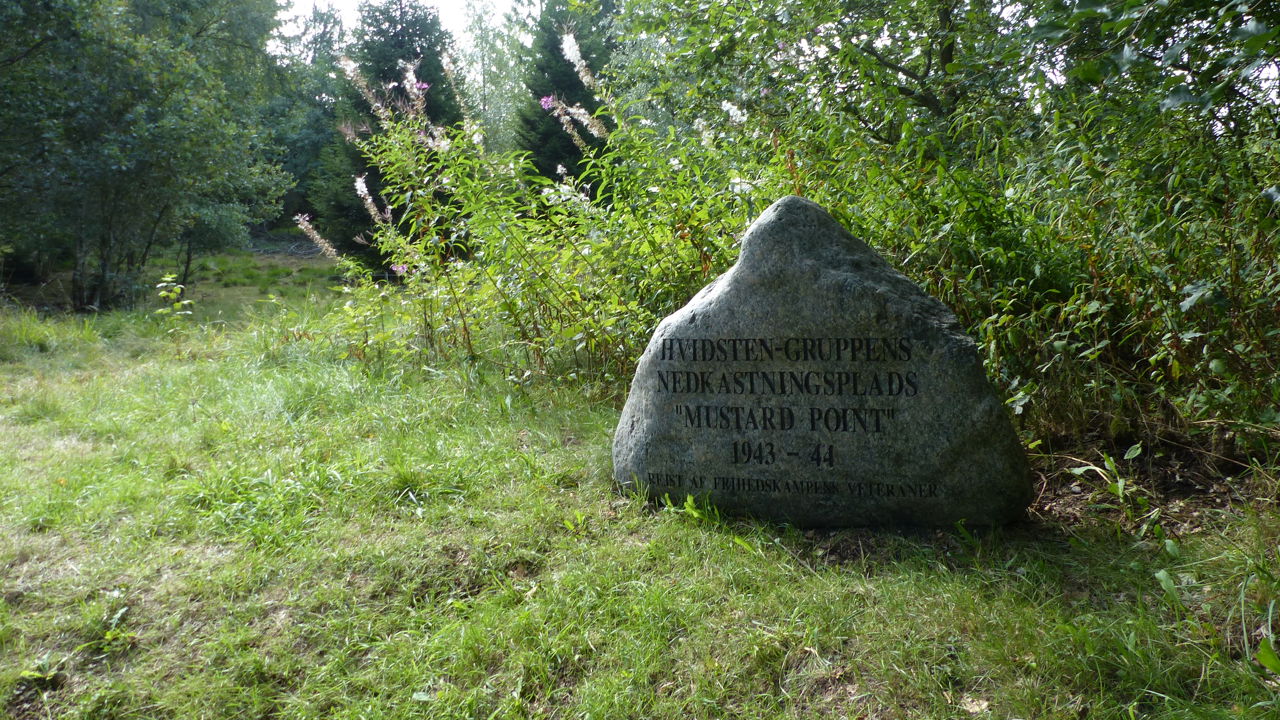 Mustard Point