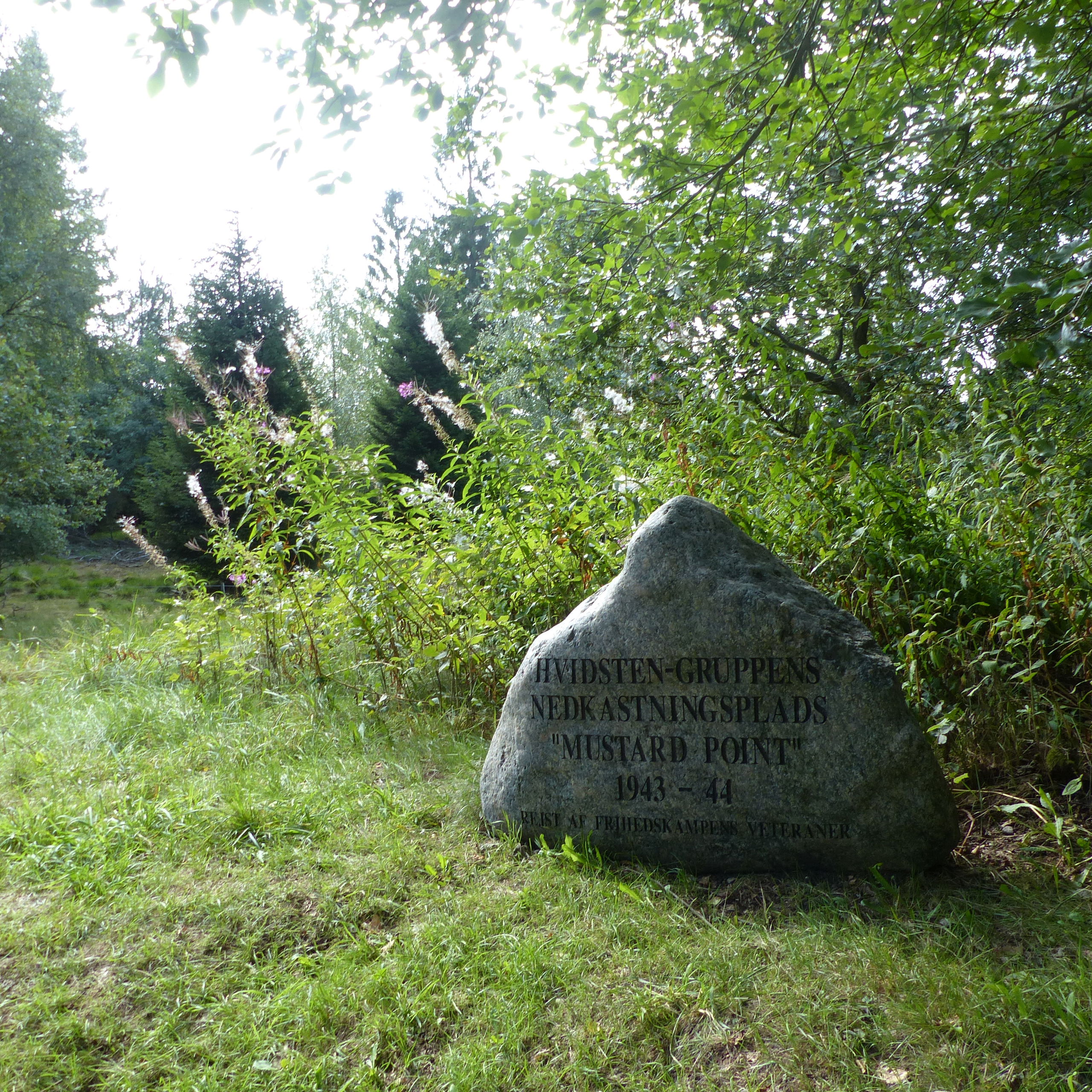Mustard Point