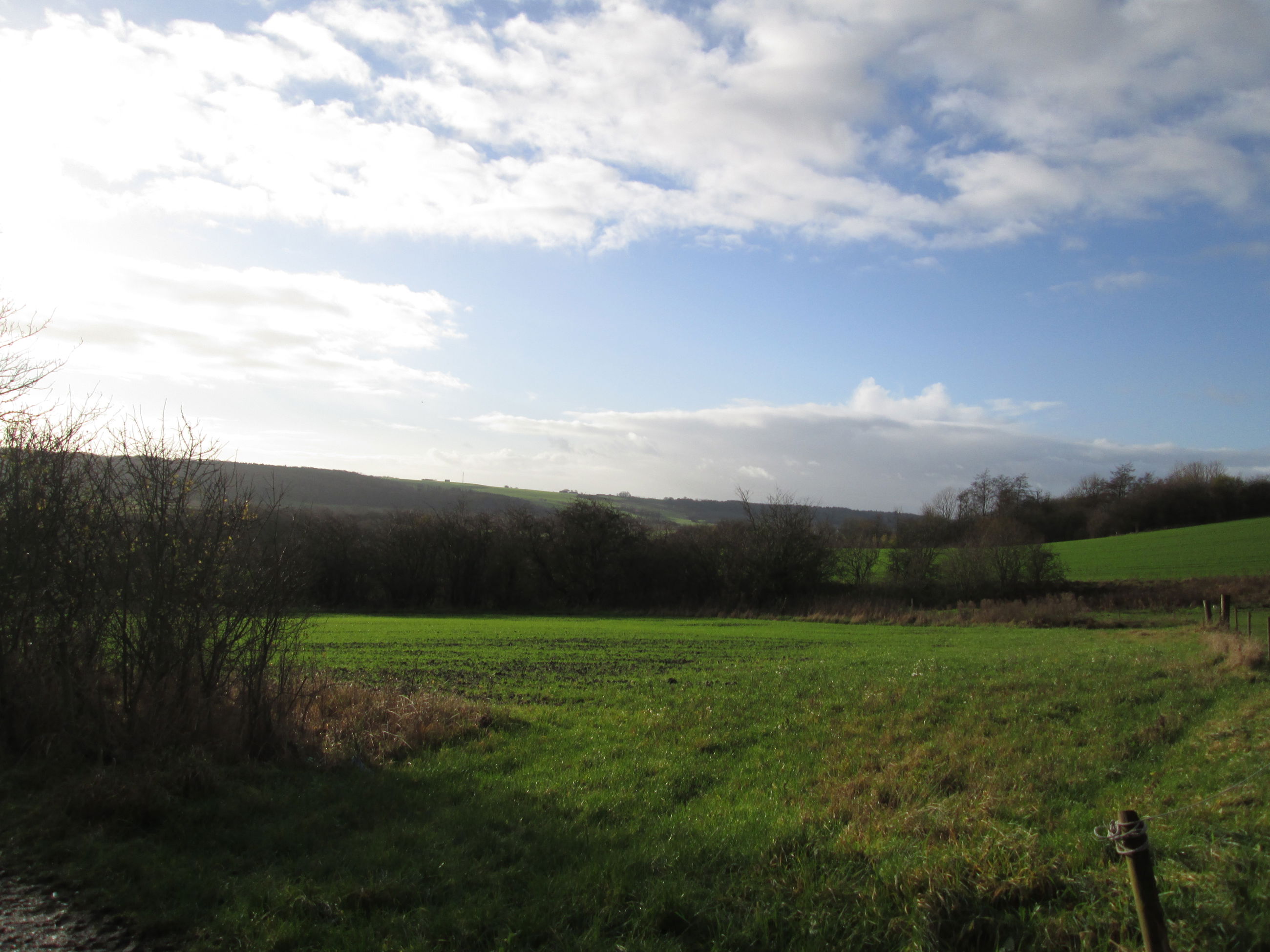 Udsigt ud over marker i området ved Gjandrup og Venning