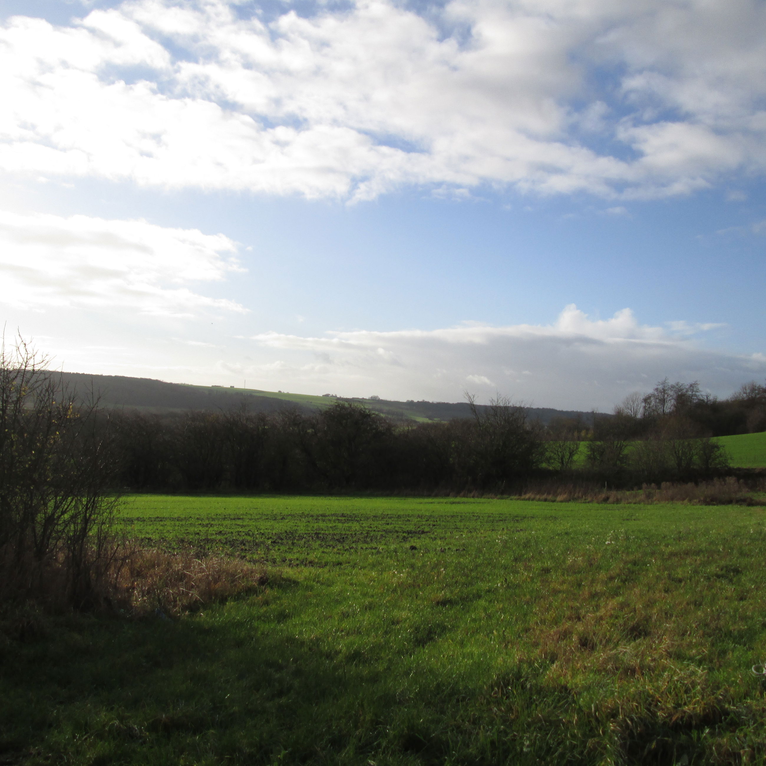 Udsigt ud over marker i området ved Gjandrup og Venning