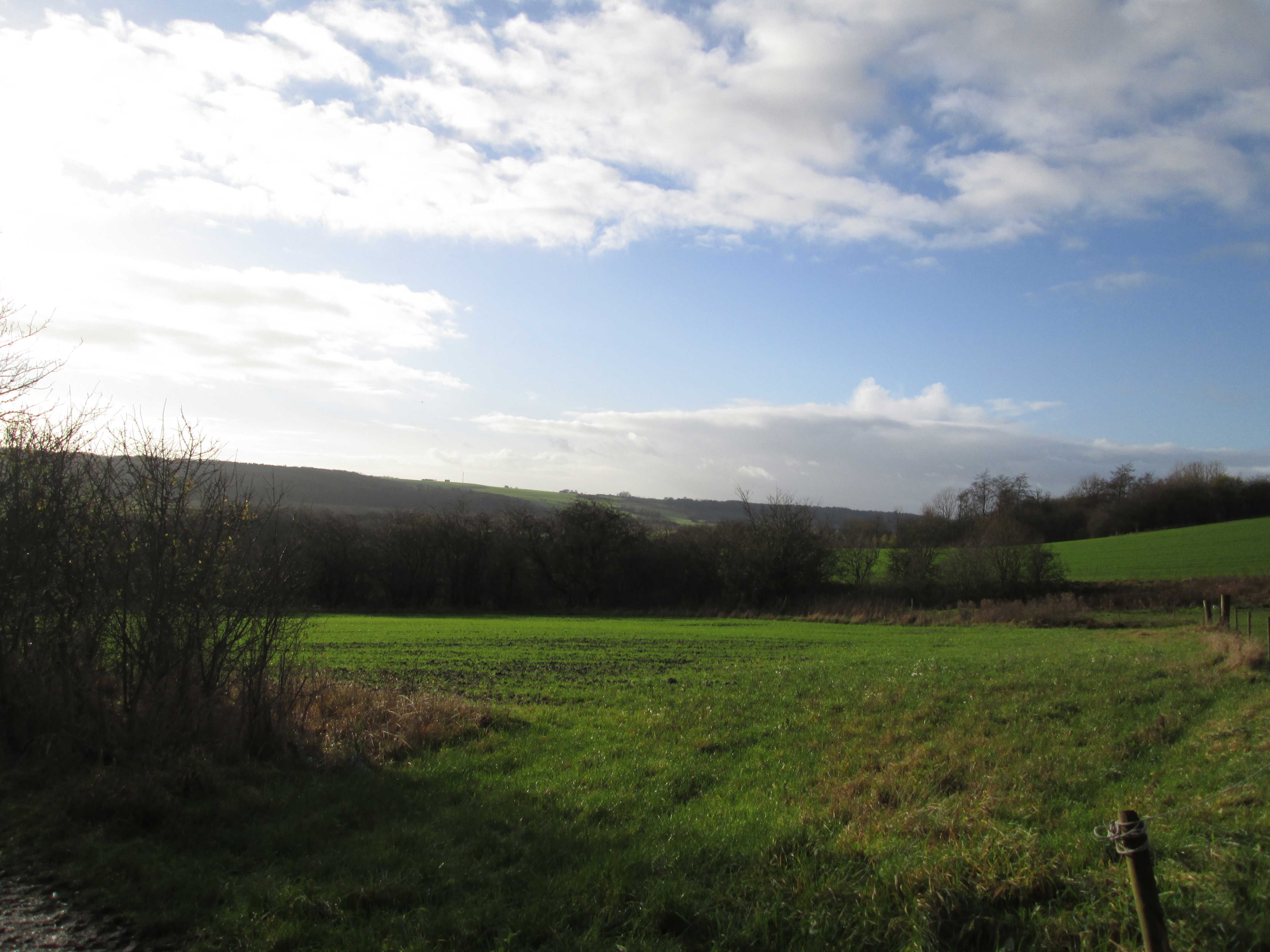 Udsigt ud over marker i området ved Gjandrup og Venning