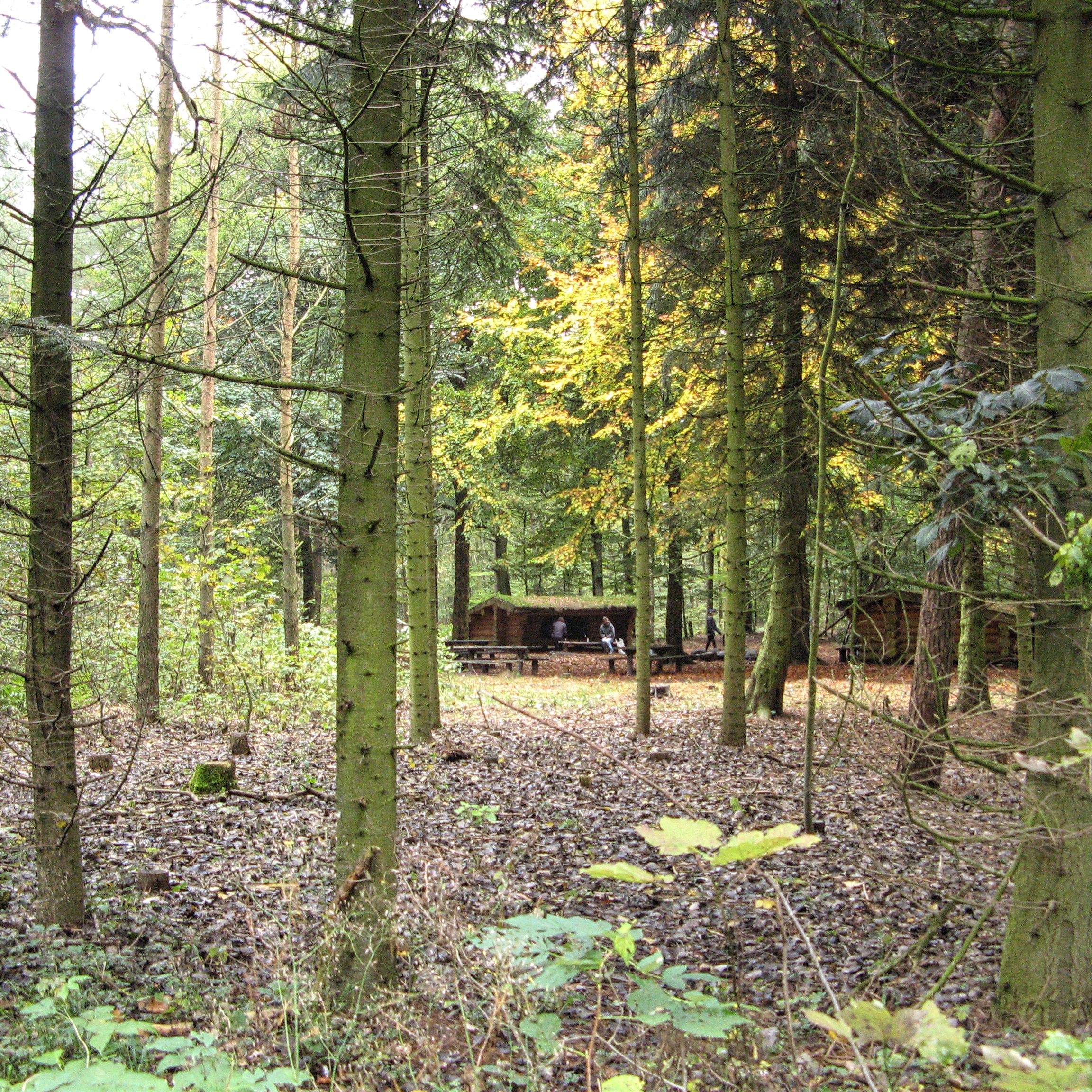 Shelters i Fladbro Skov
