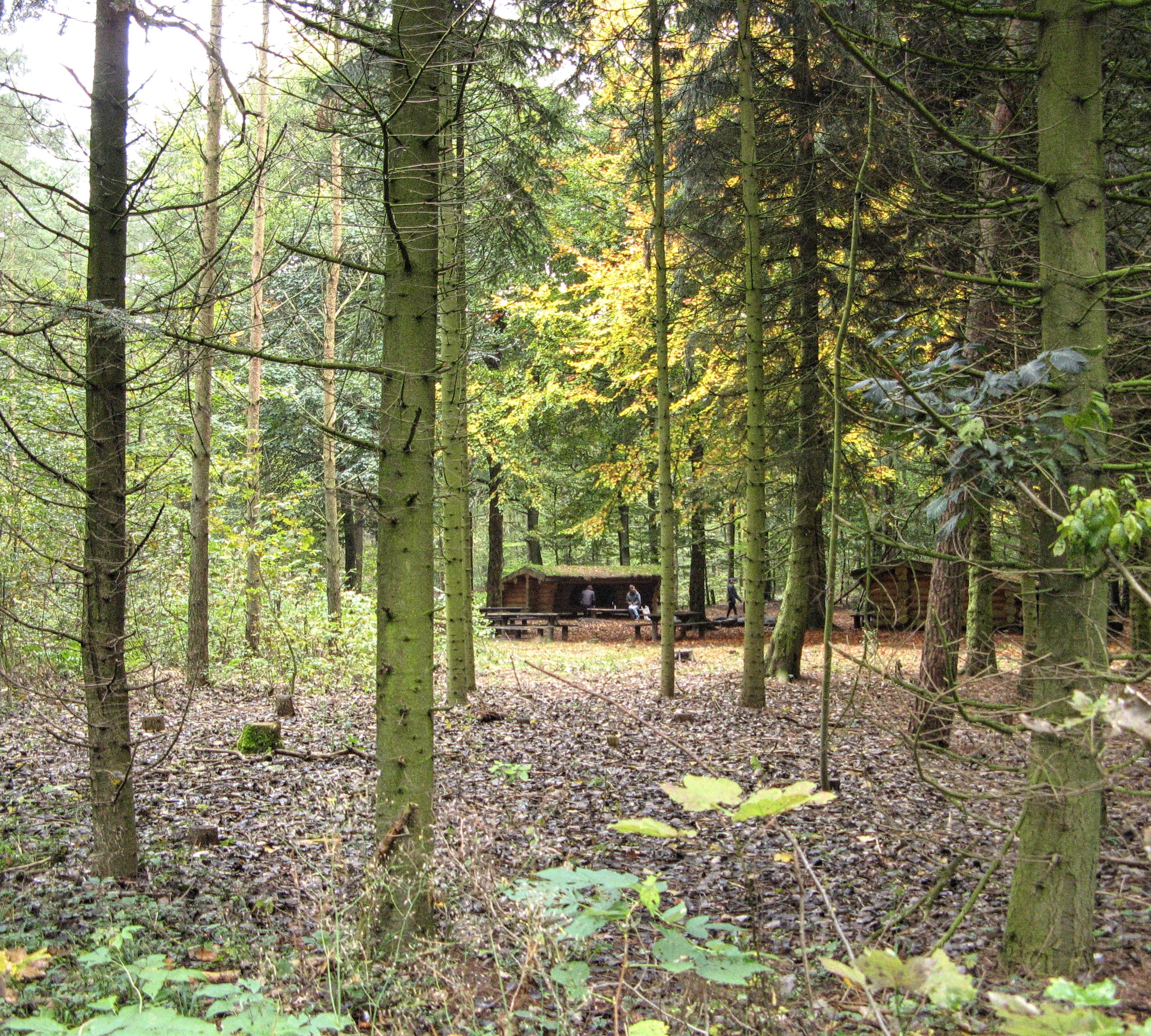 Shelters i Fladbro Skov