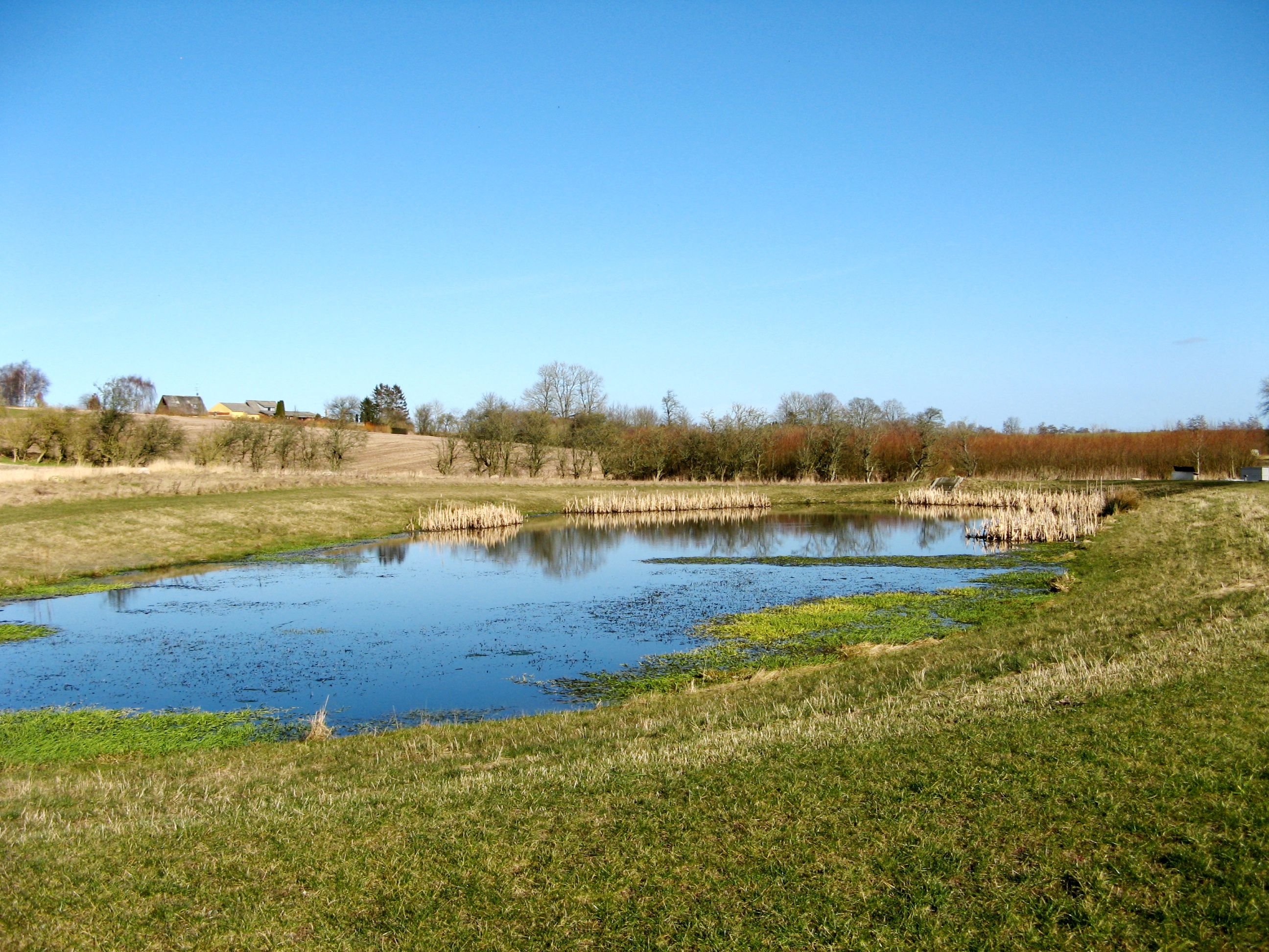 Området ved Gjerlev Kær