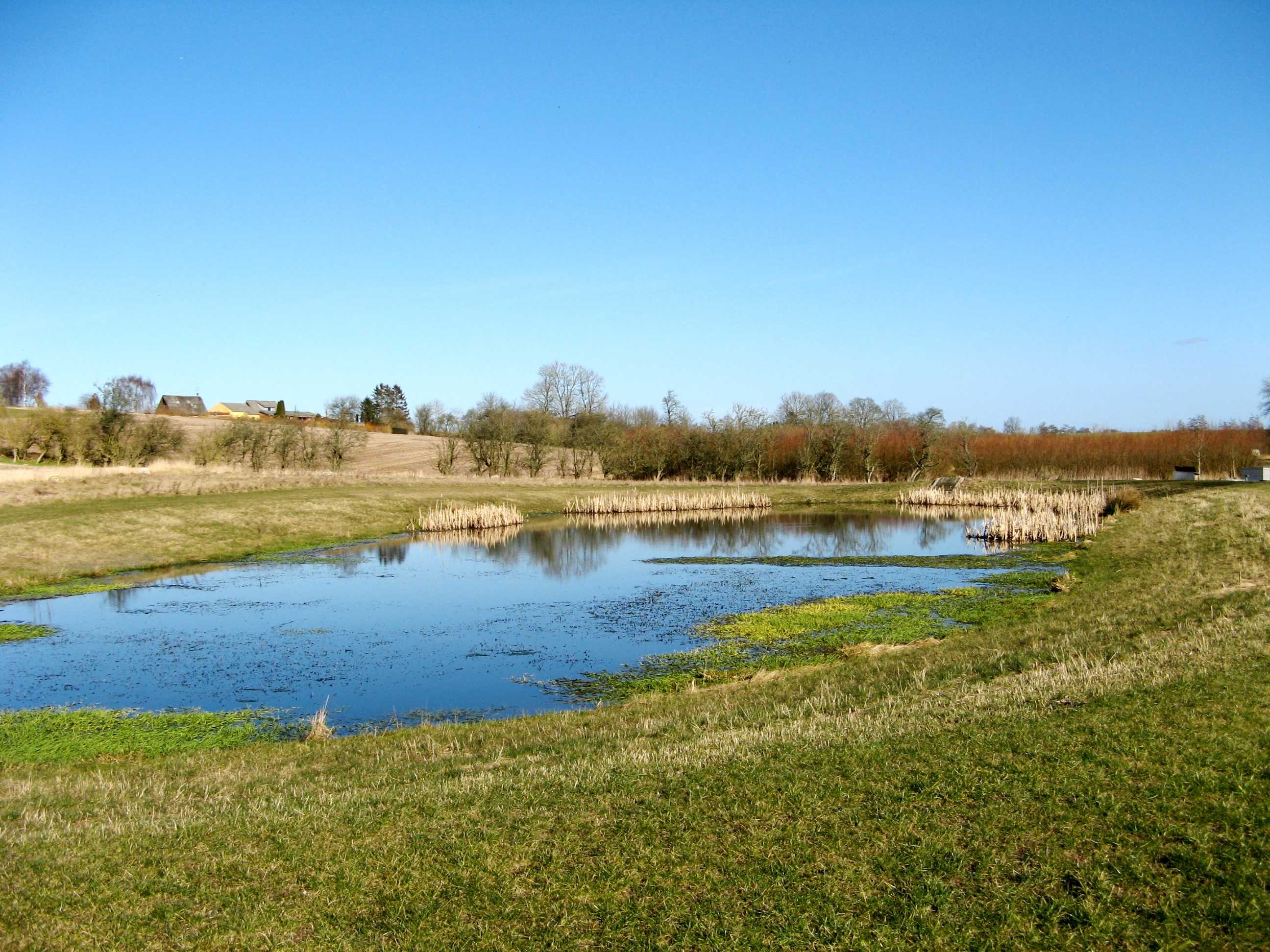 Området ved Gjerlev Kær