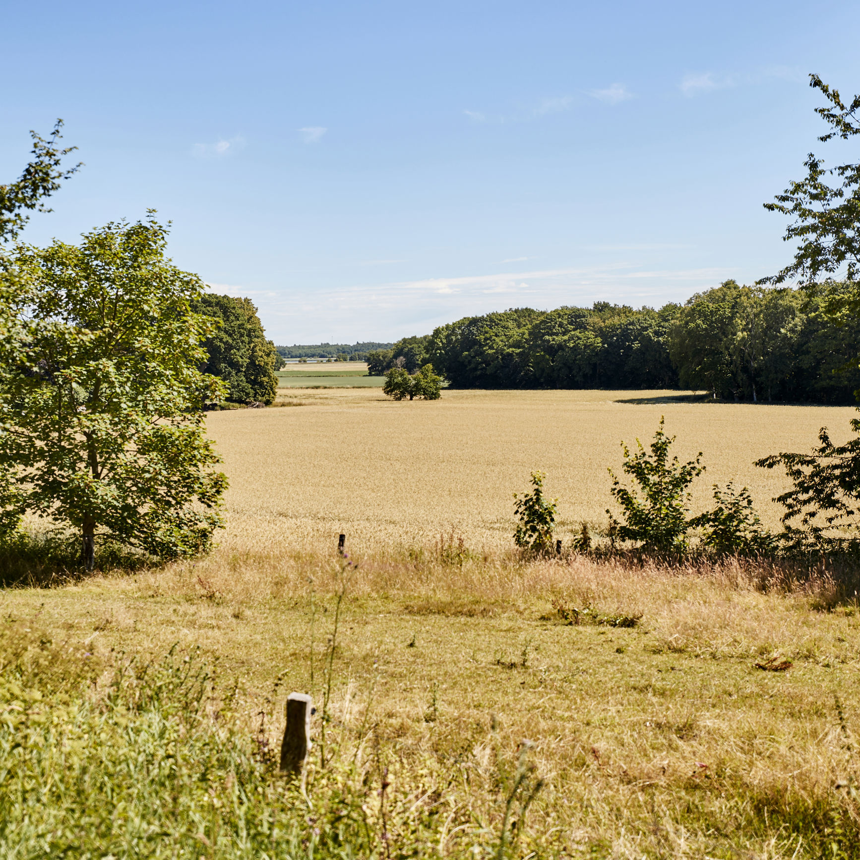 Dødislandskabet ved Støvring