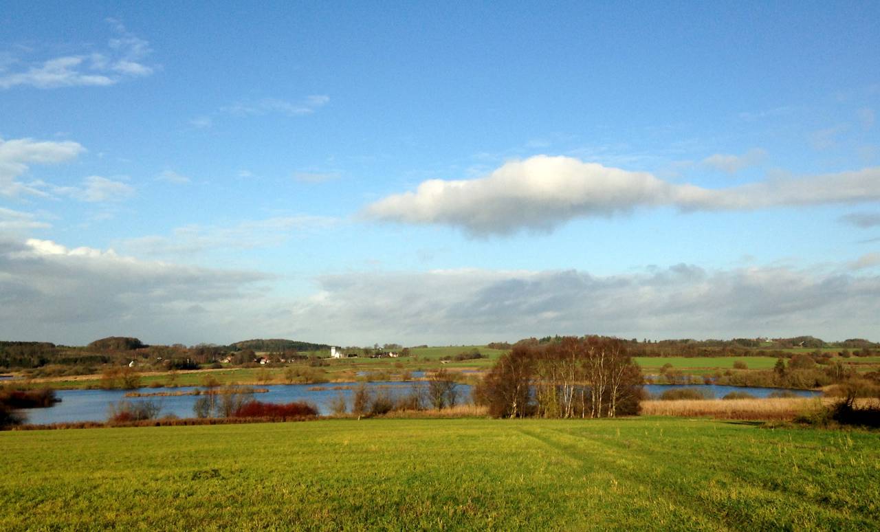 Marker og sø med Kousted Kirke i baggrunden