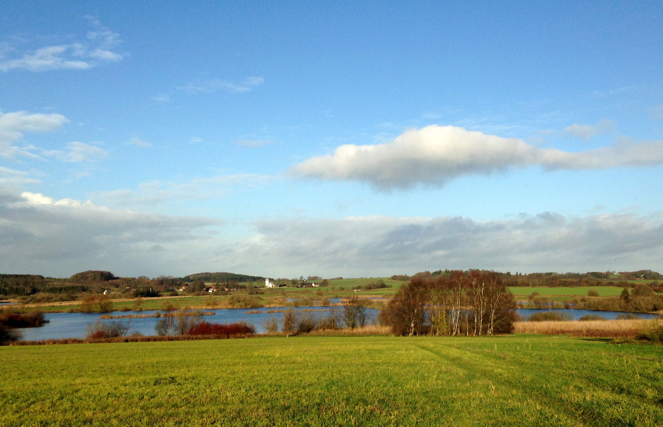 Marker og sø med Kousted Kirke i baggrunden